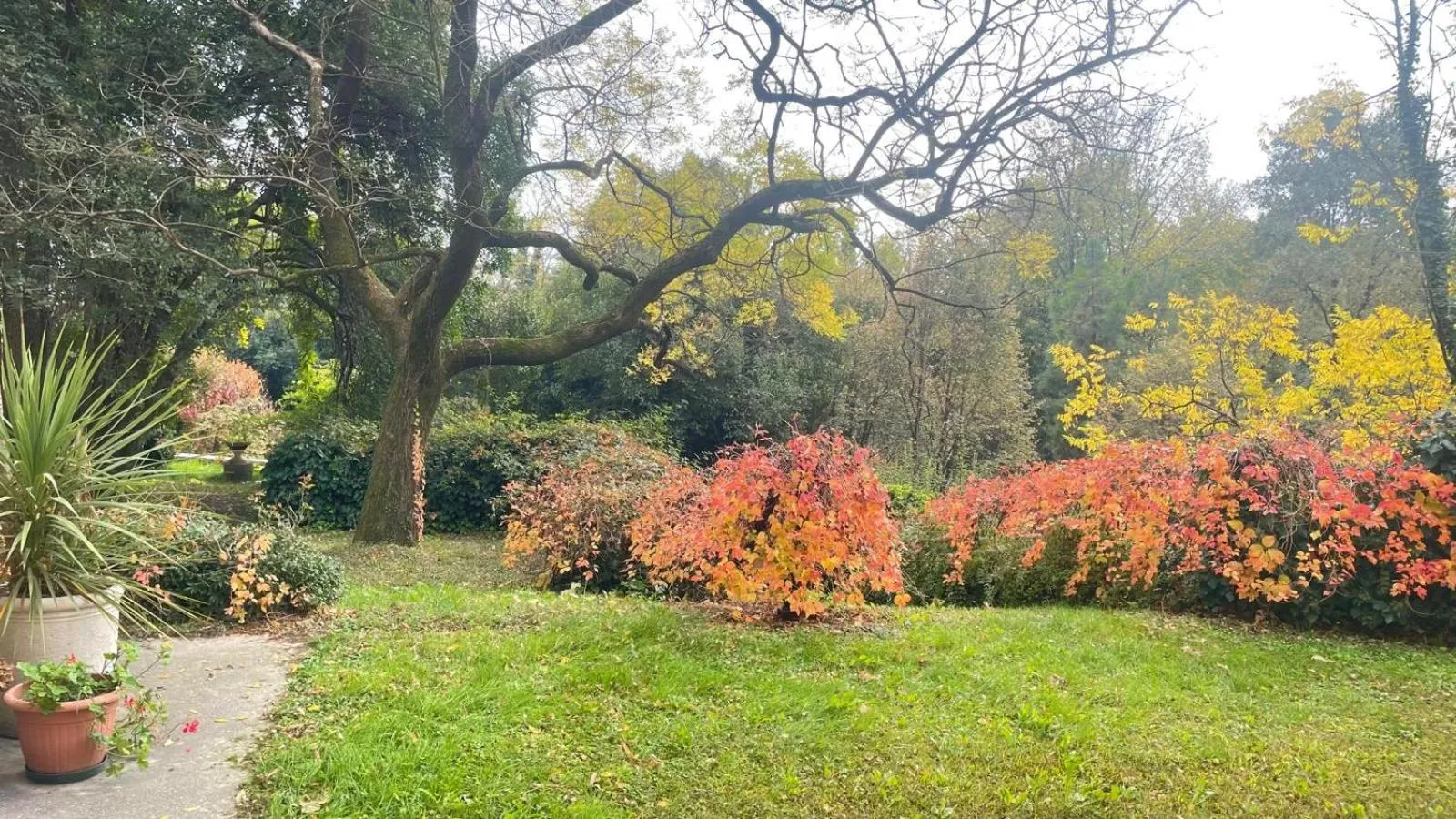 Natural landscape in Villa Scalabrini