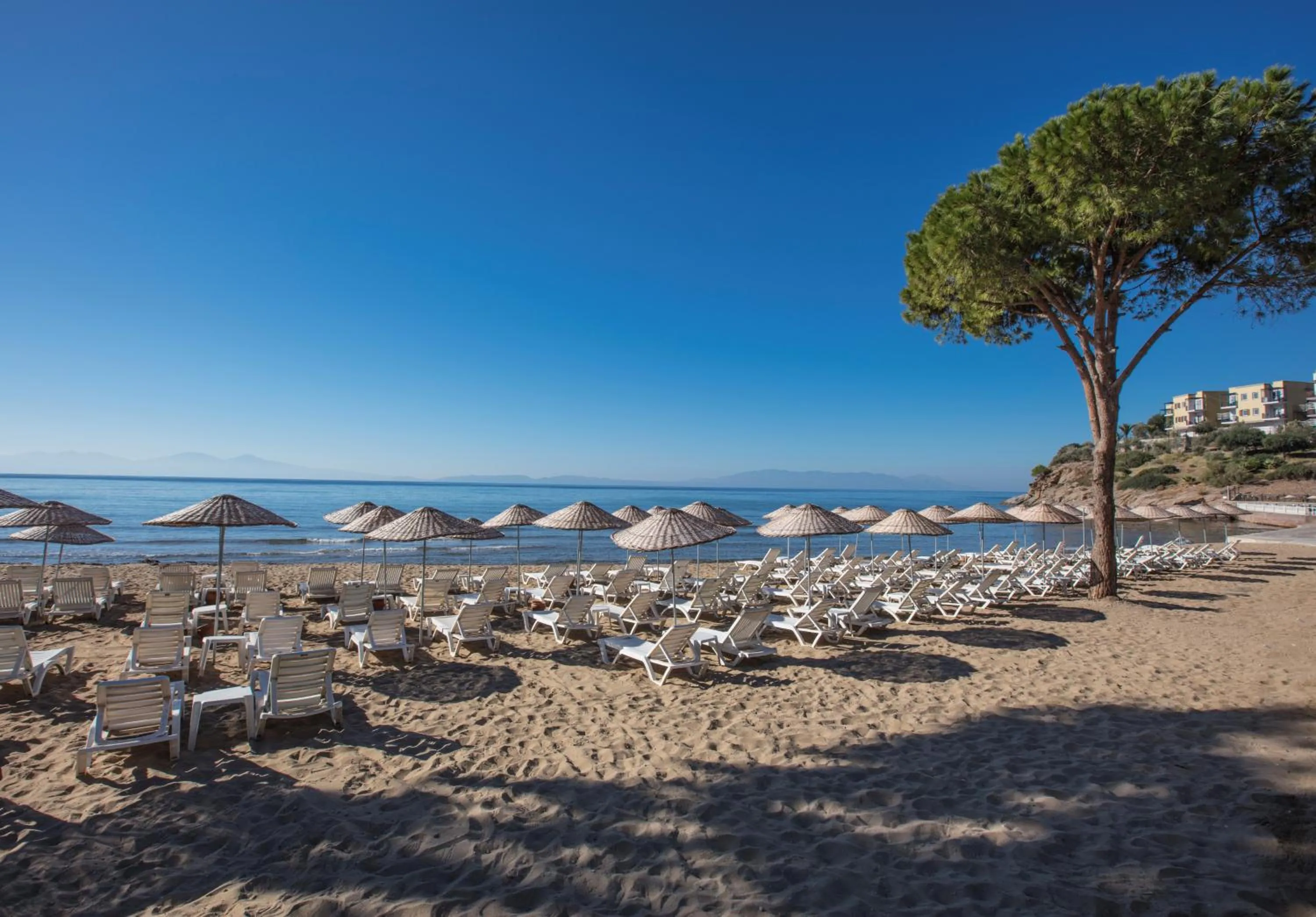 Beach in Aria Claros Beach & Spa Resort – All Inclusive 24H