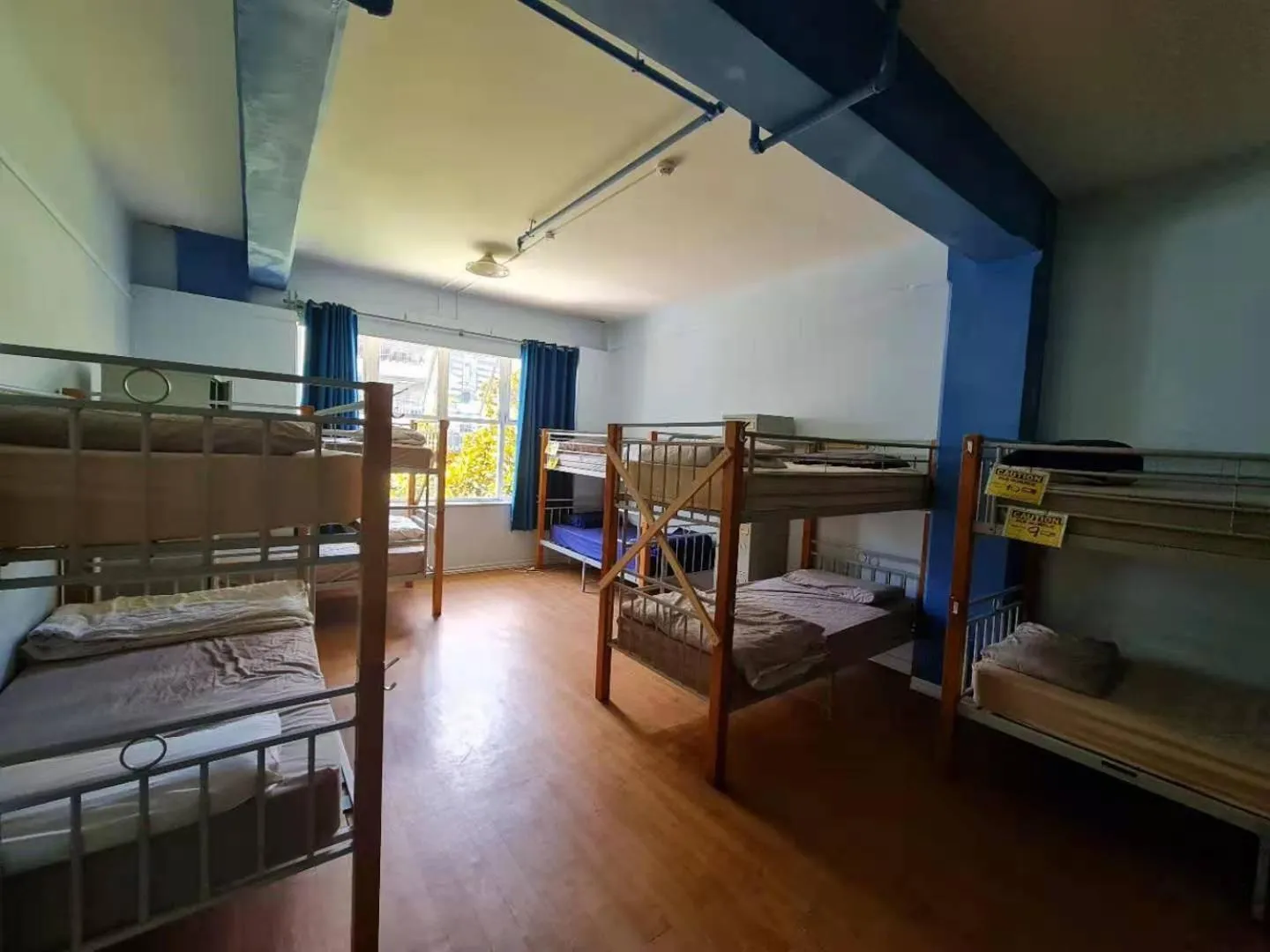 bunk bed, Bed in Frienz Backpacker