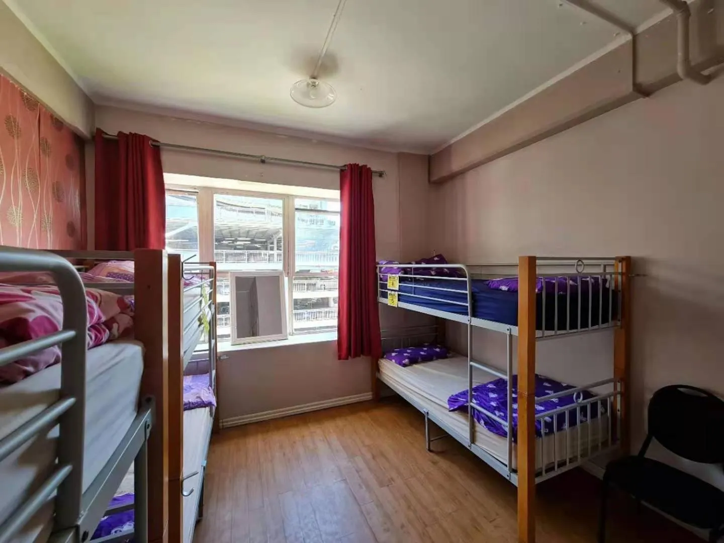 bunk bed, Bed in Frienz Backpacker