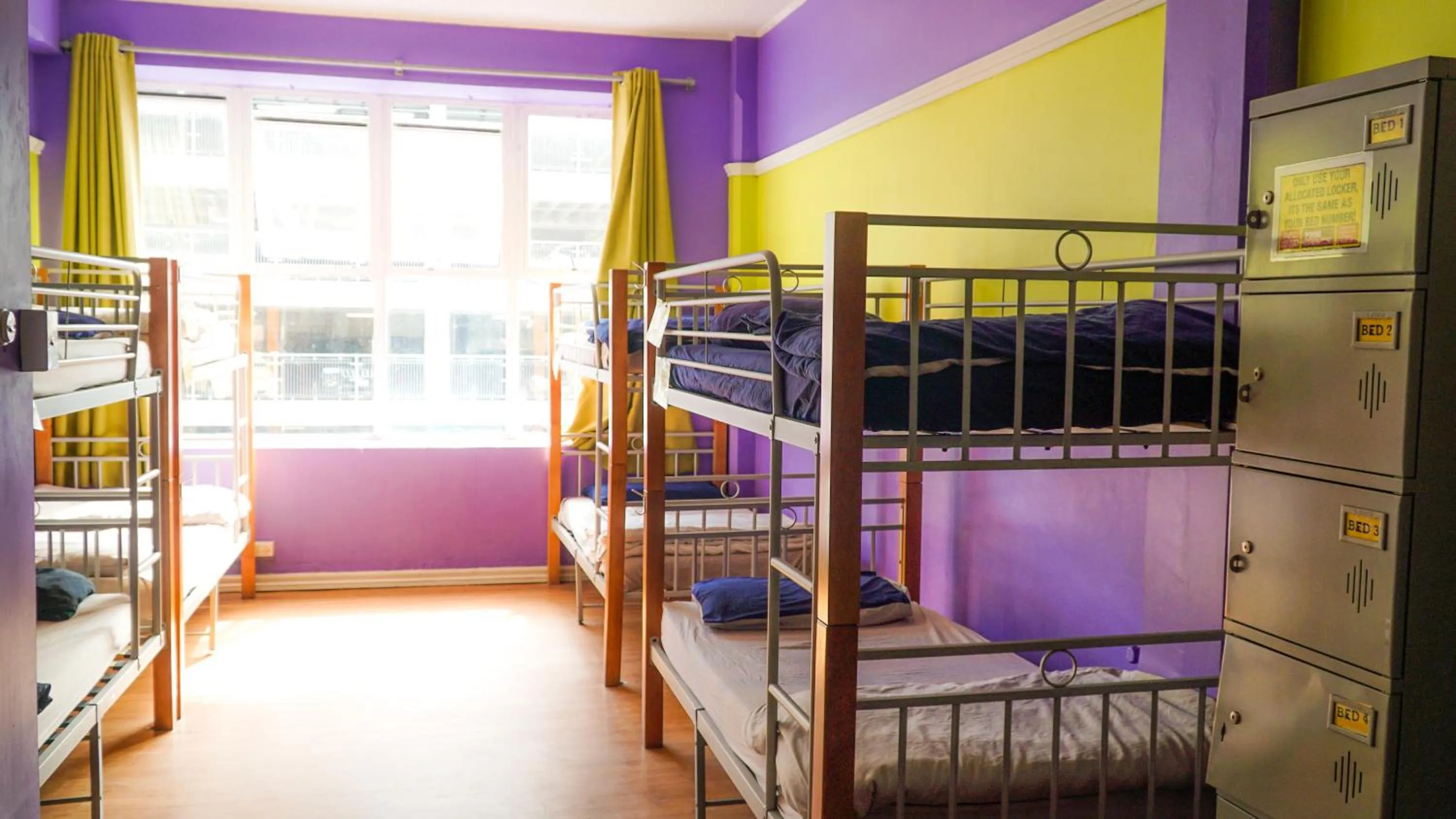 bunk bed, Bed in Frienz Backpacker