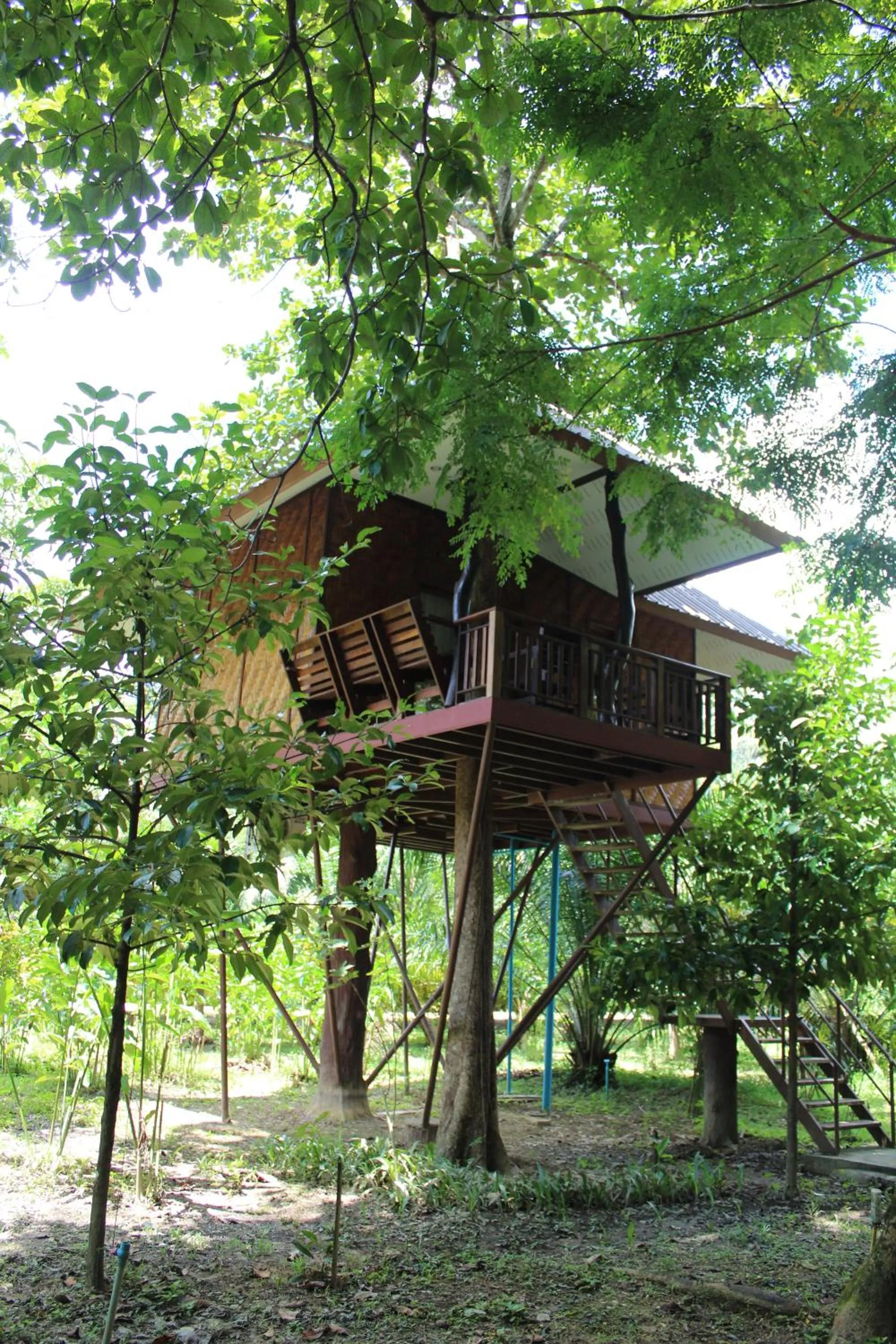 Day in Baan Khaosok Resort