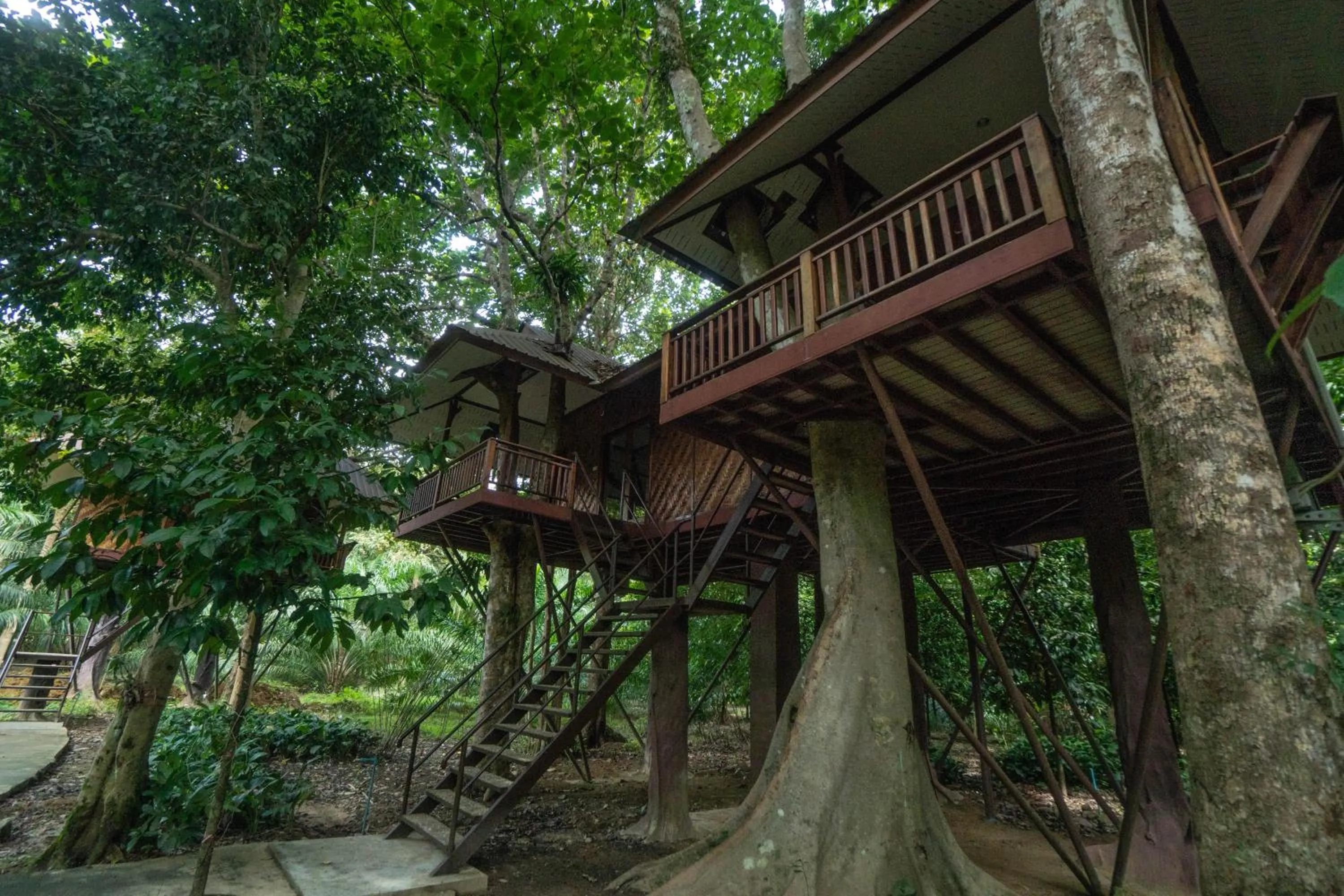 Patio in Baan Khaosok Resort