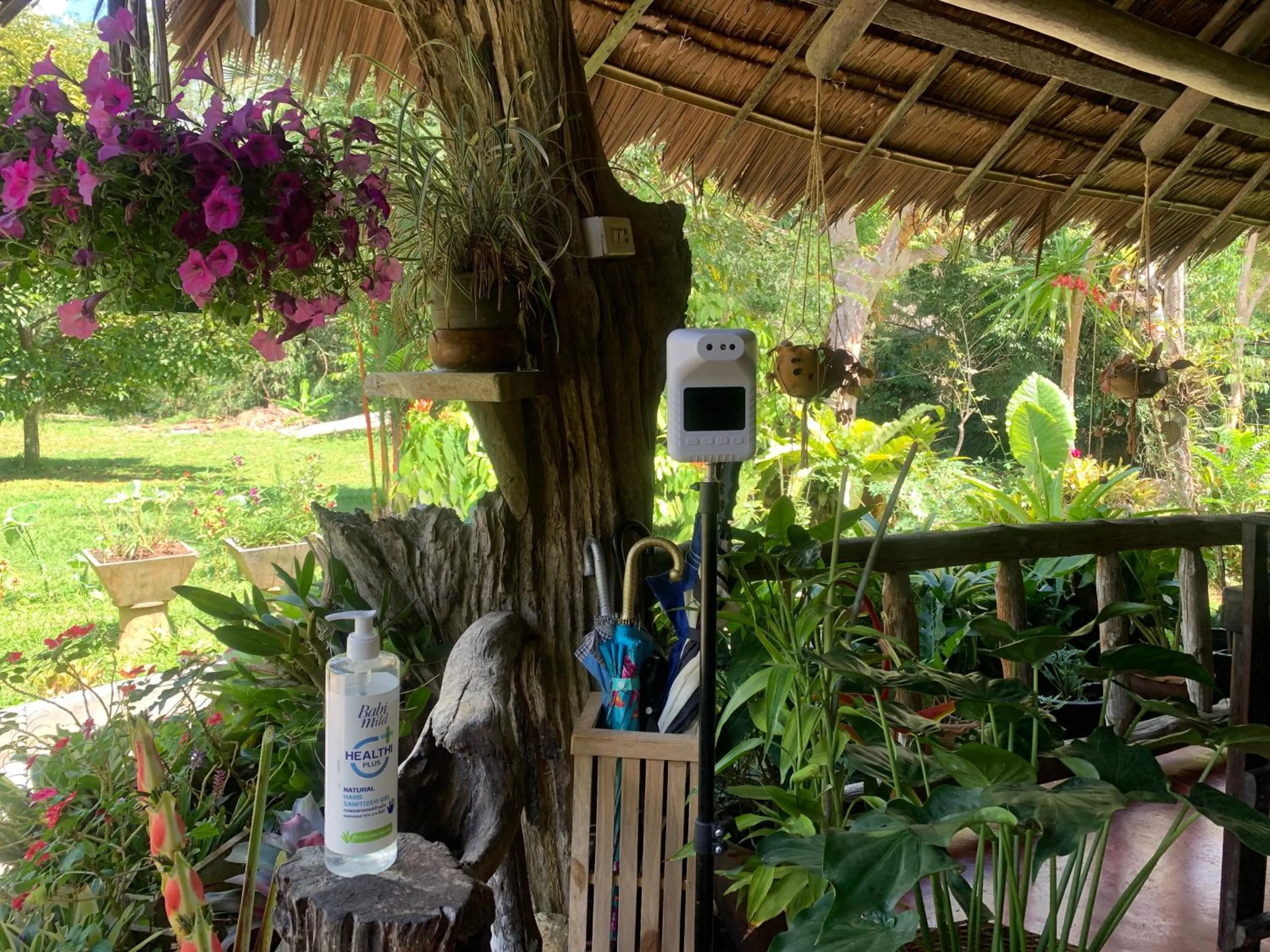 Other in Baan Khaosok Resort