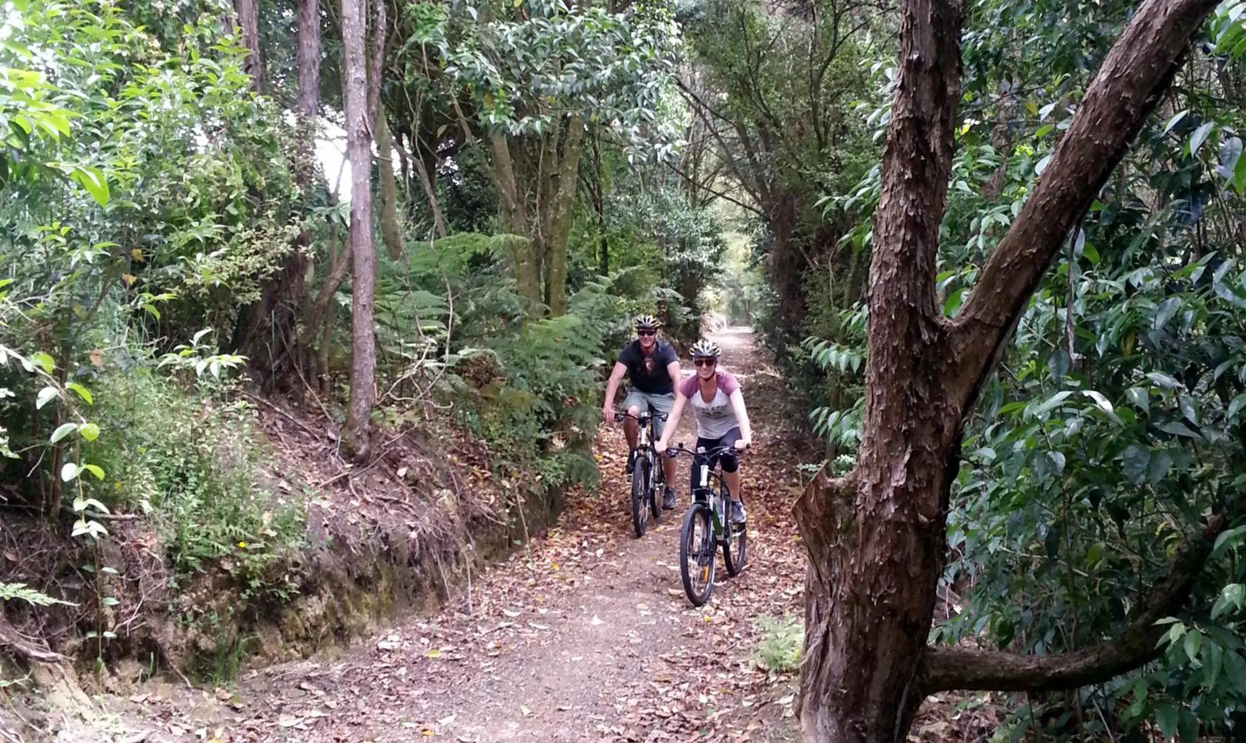 Activities in Cambridge Top 10 Holiday Park