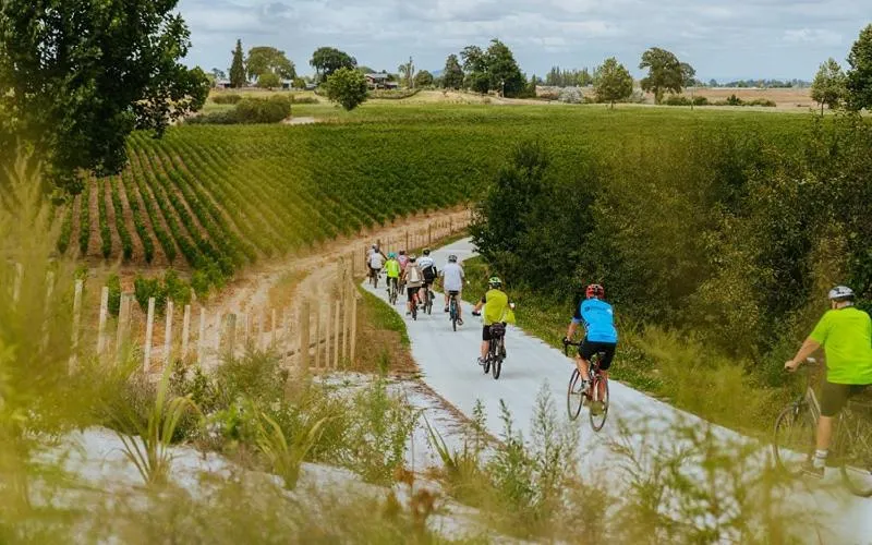 Activities in Cambridge Top 10 Holiday Park