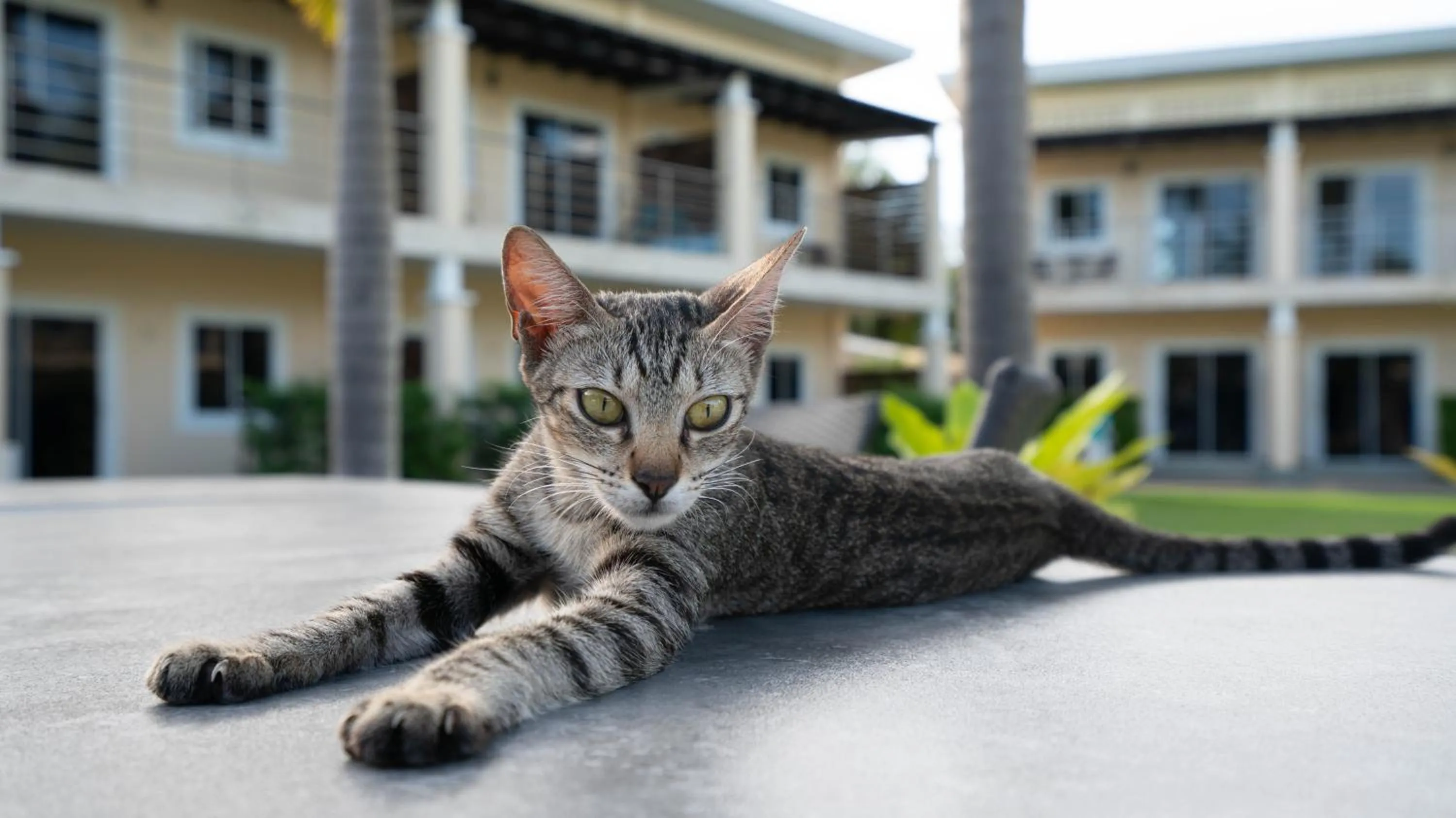 Day in Malinawon Resort 馬莉吶灣度假中心