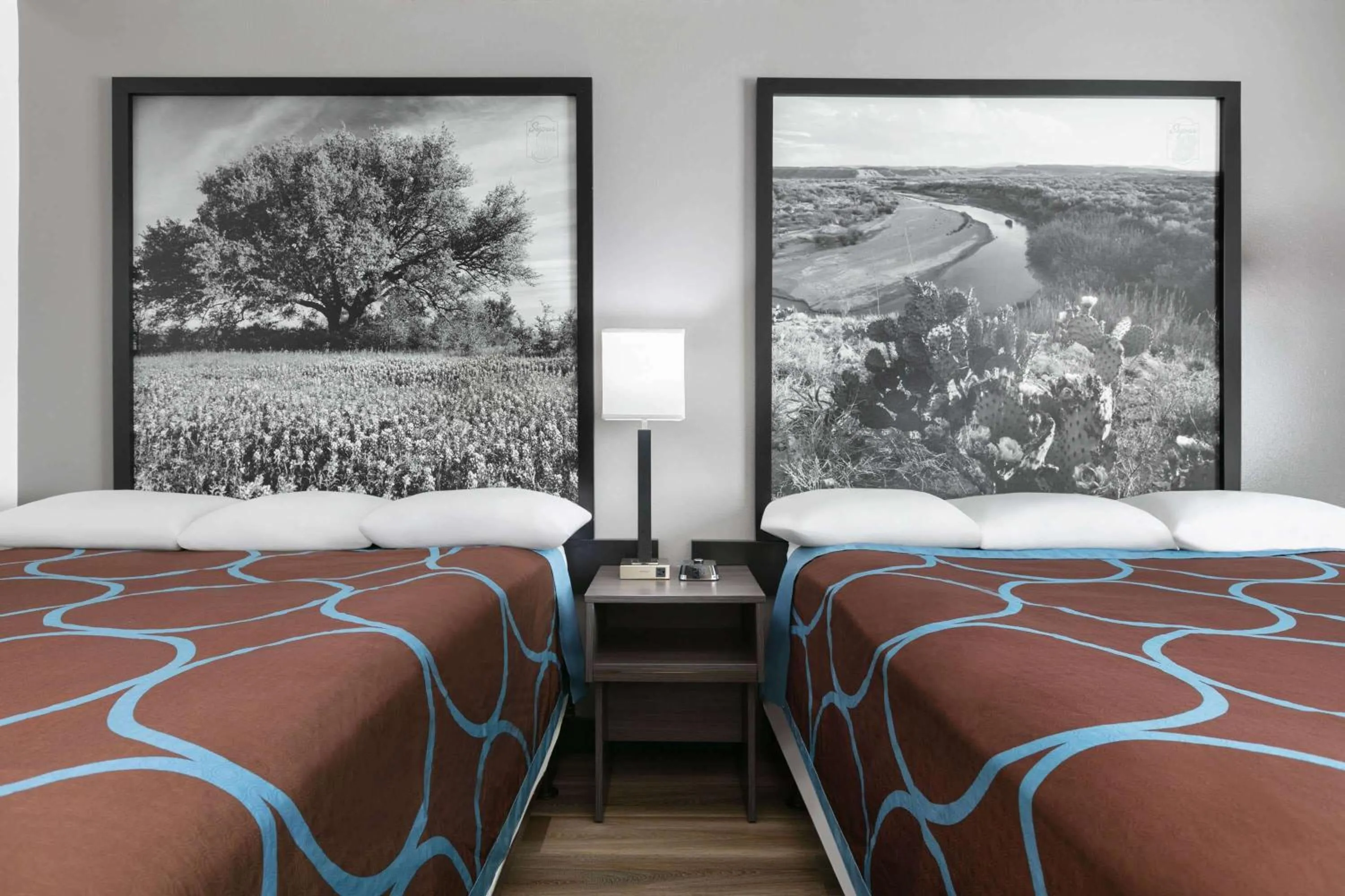 Photo of the whole room, Bed in Super 8 by Wyndham Grapevine/DFW Airport Northwest