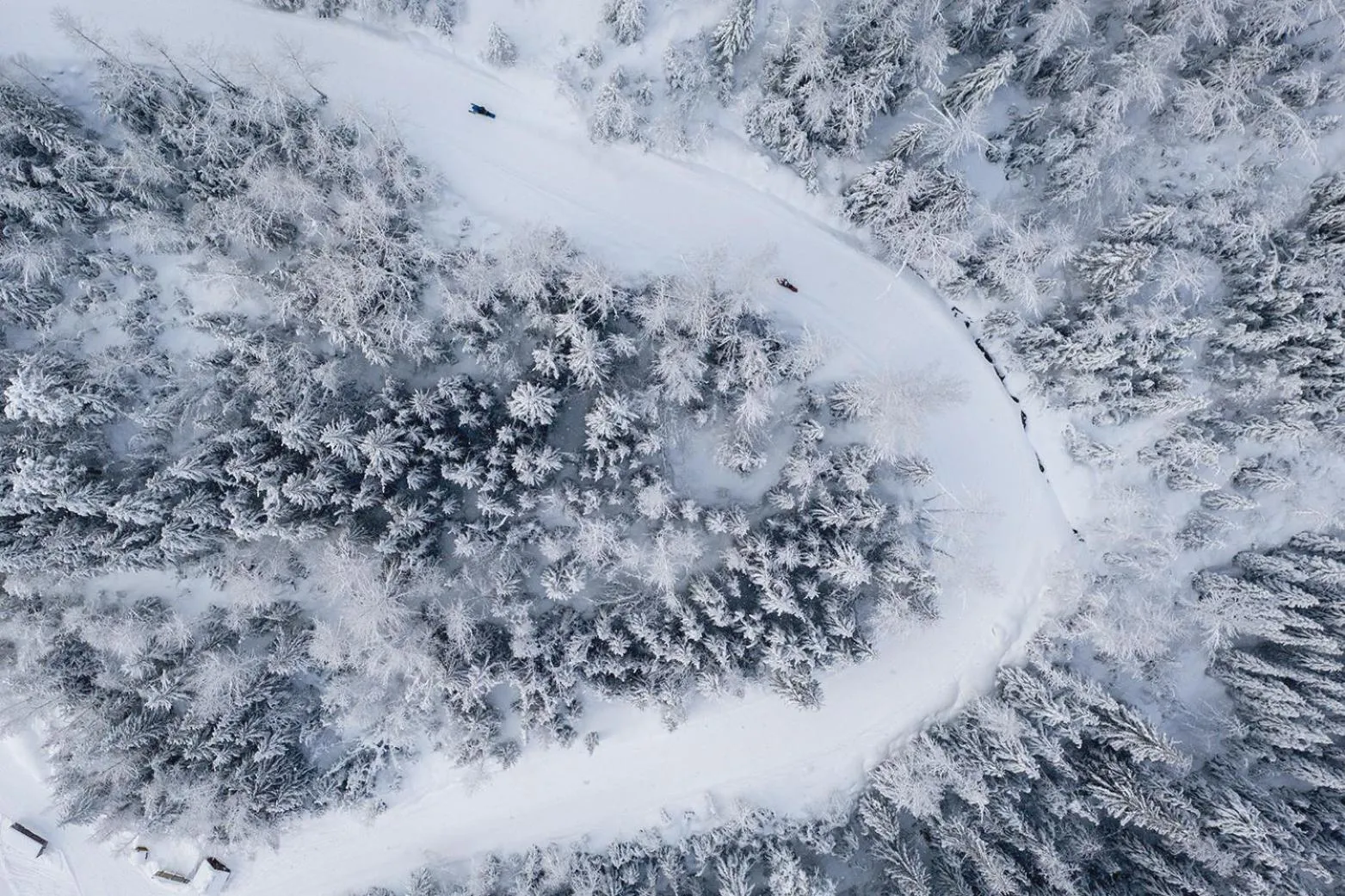 Activities in Glacier House Hotel & Resort