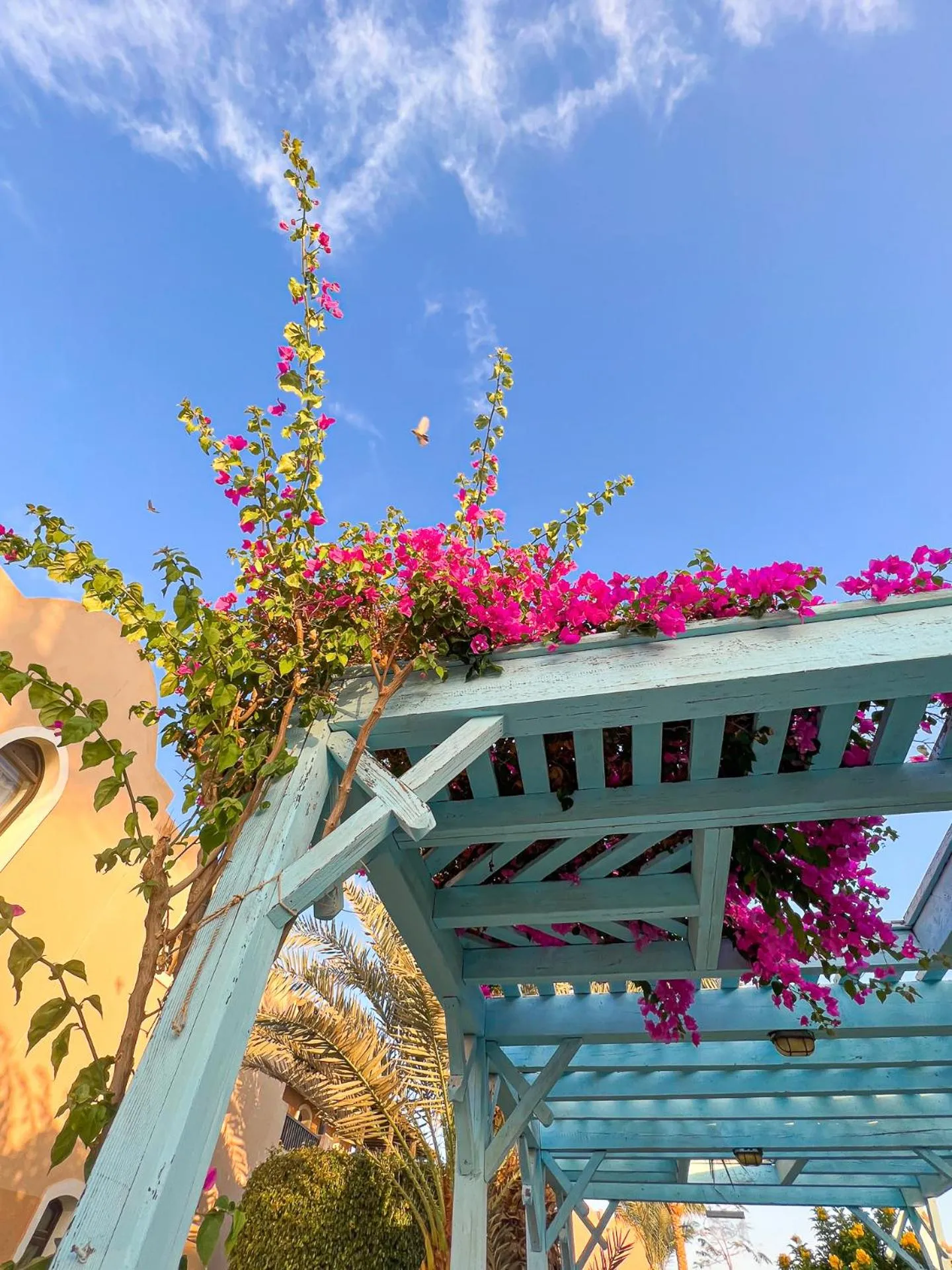 Day in Radisson Blu Resort El Quseir