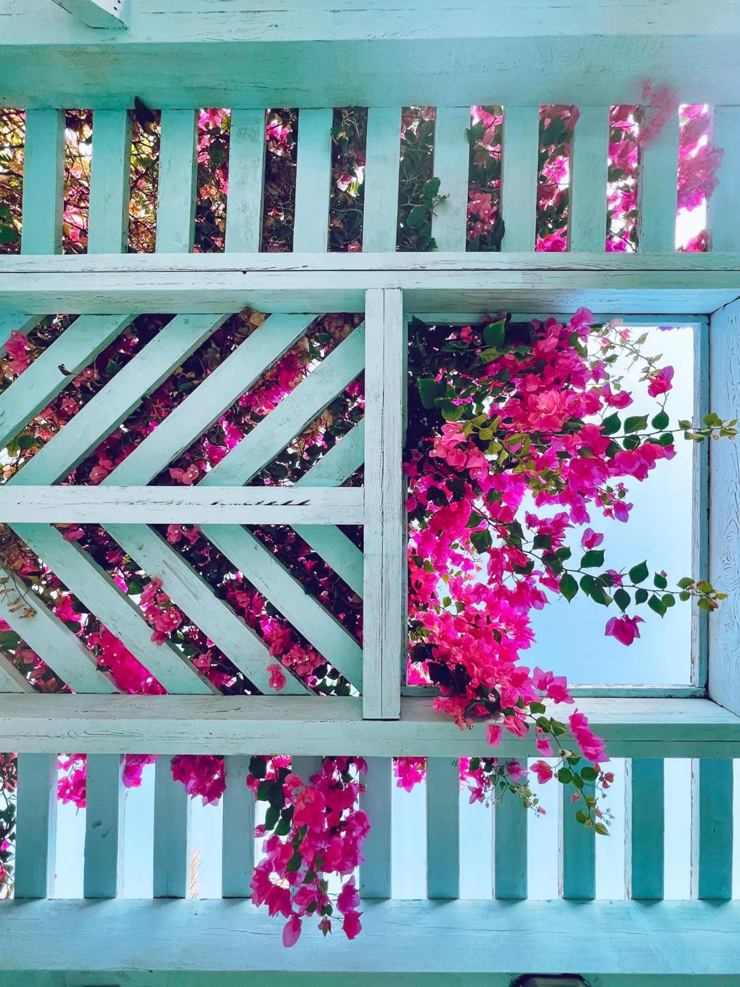 Garden in Radisson Blu Resort El Quseir