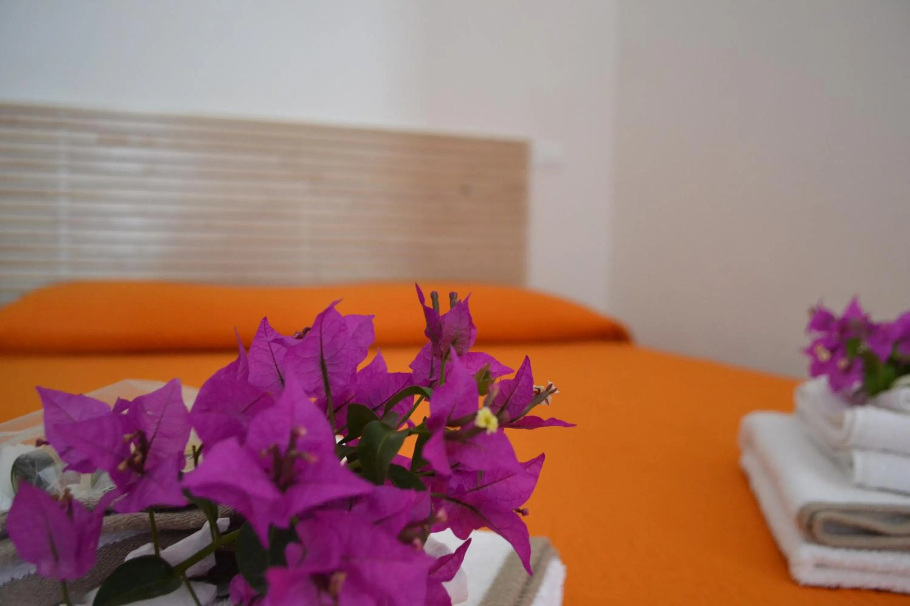 Bed in Horizon Pantelleria
