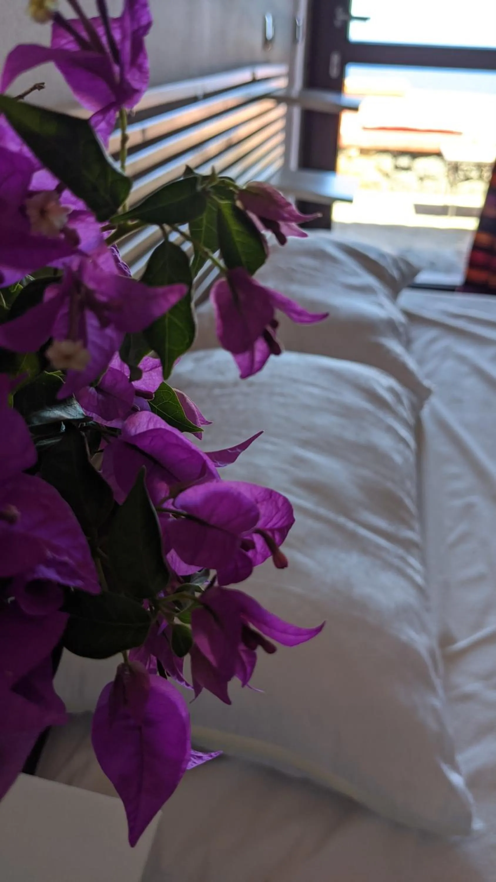 Bed in Horizon Pantelleria