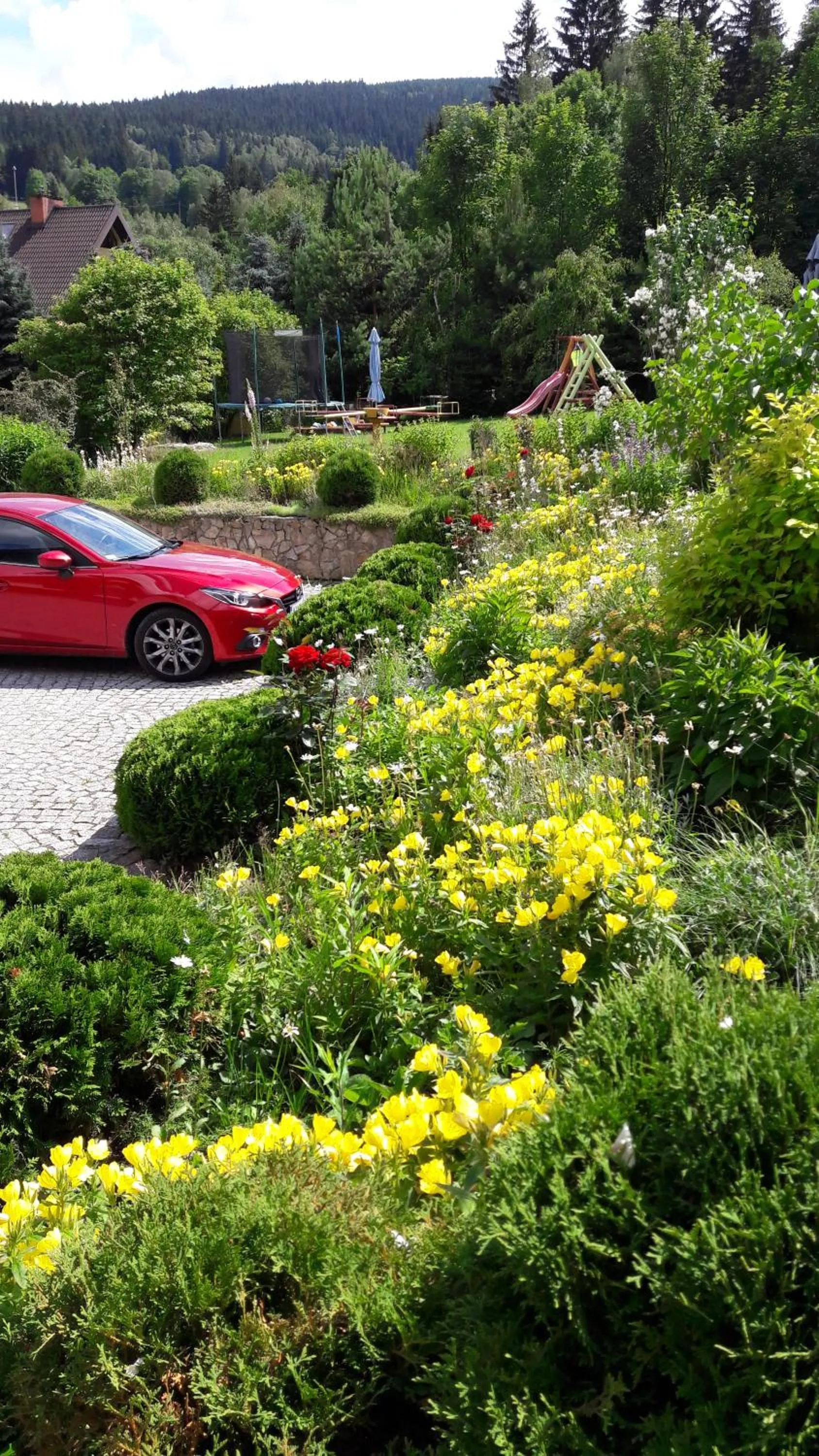 Area and facilities in Apartamenty Dom na Wzgórzu Gardenia