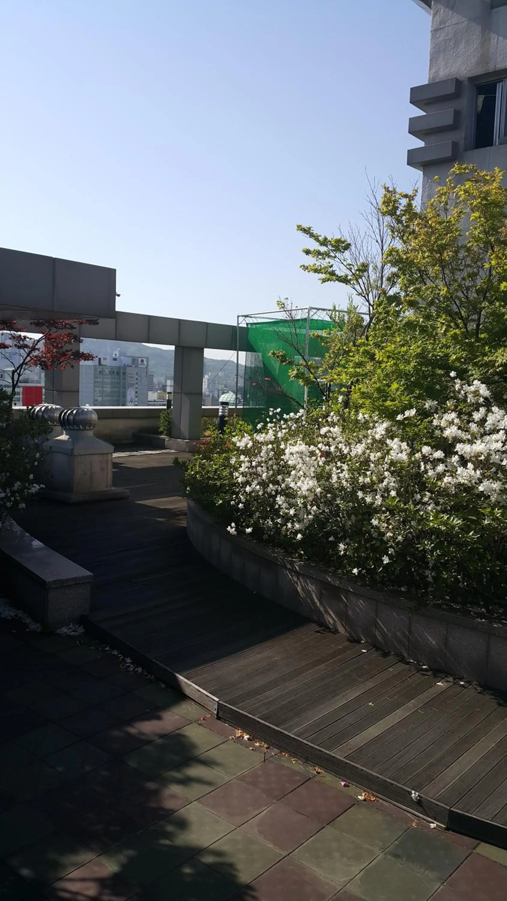 Spring in Hyundai Residence