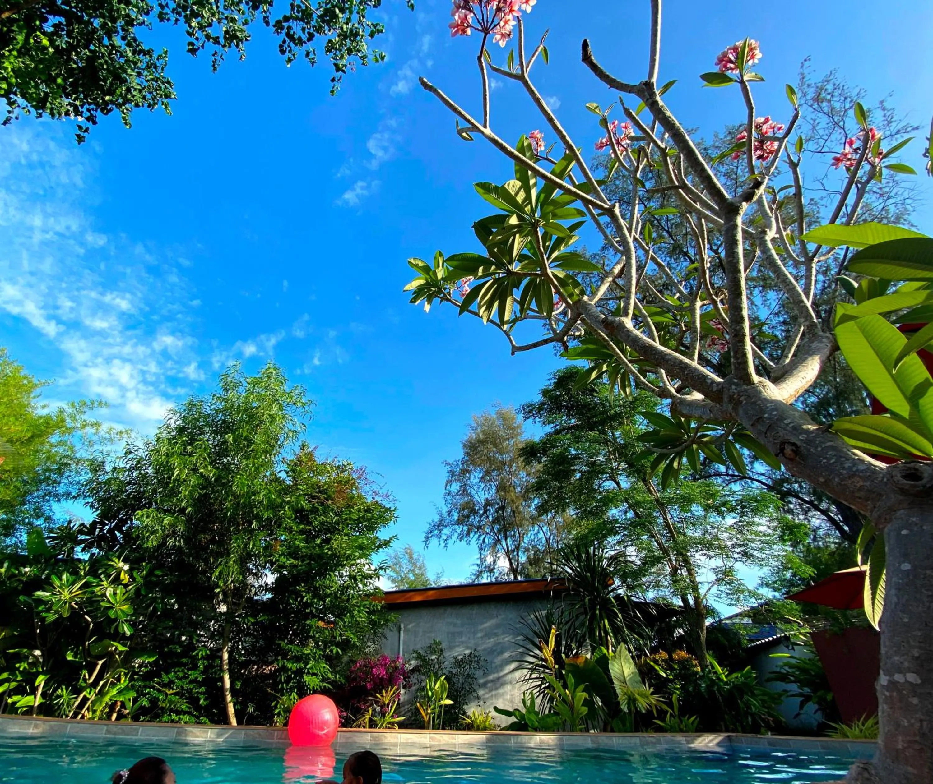 Natural landscape in SeaEsta Beach