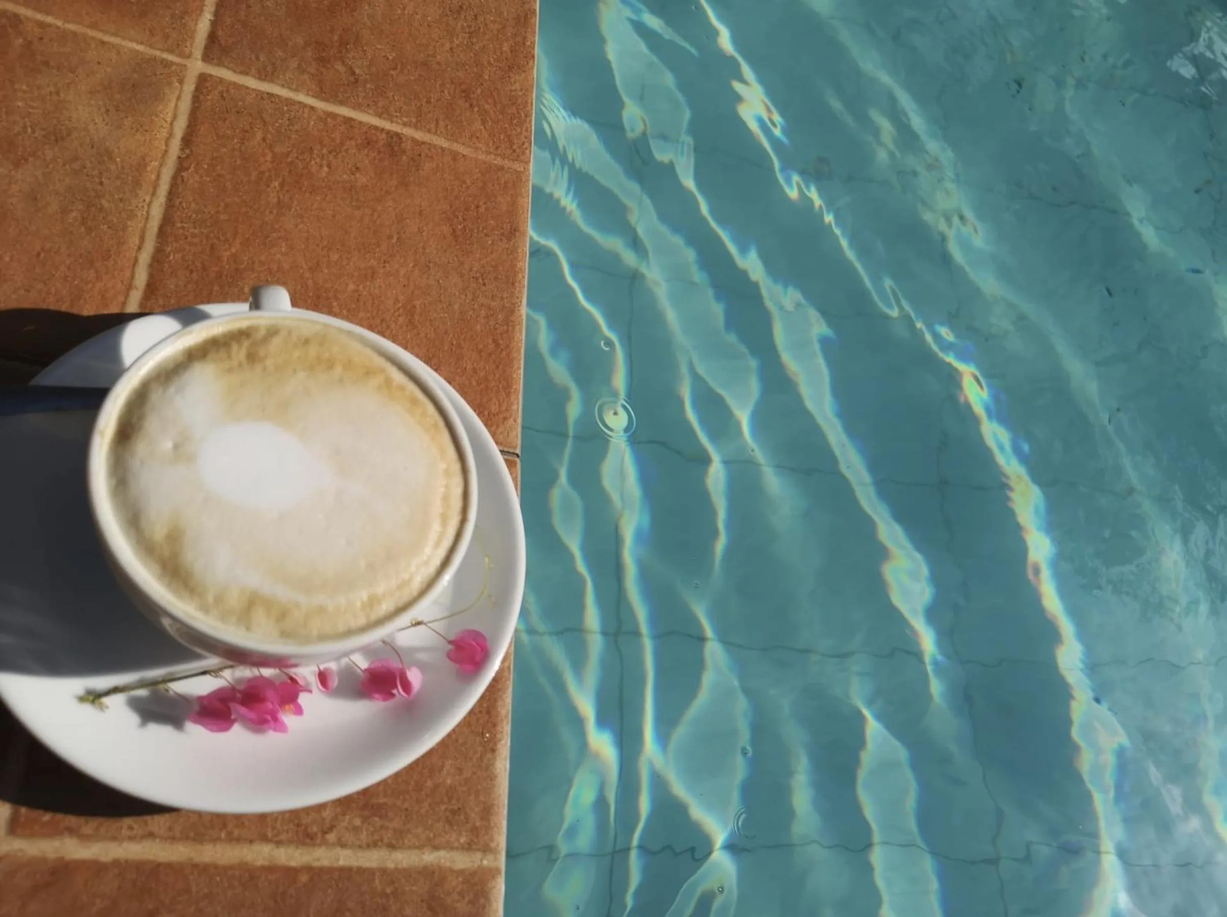 Garden in SeaEsta Beach