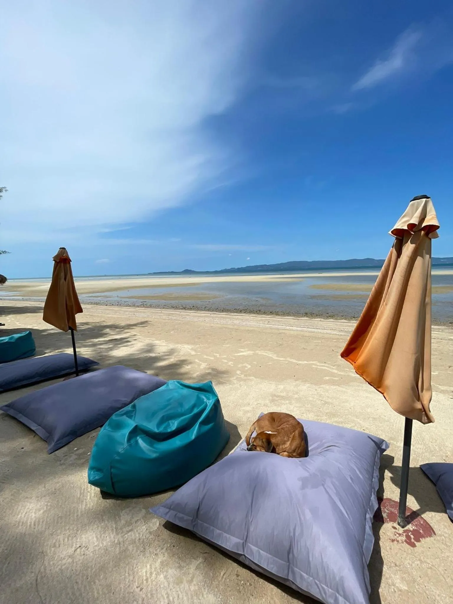 Beach in SeaEsta Beach