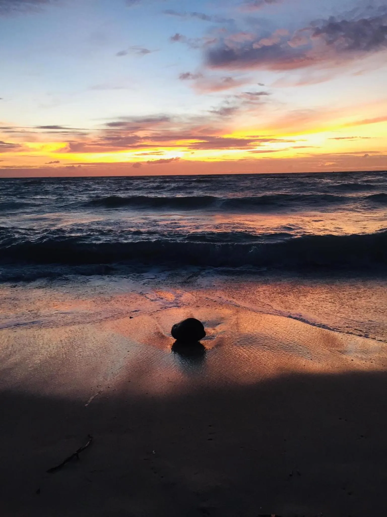 Natural landscape in SeaEsta Beach