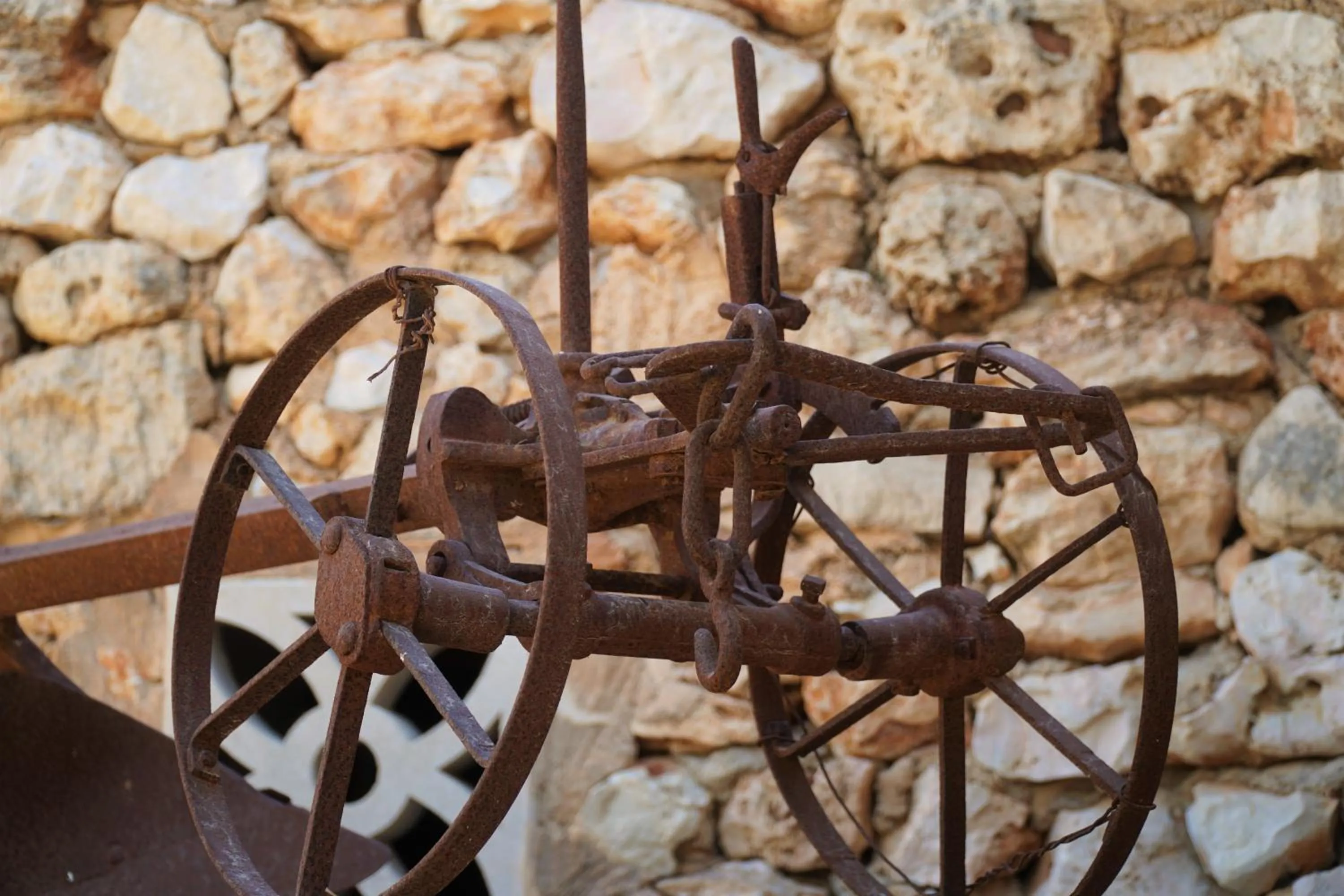 Agroturismo Finca Sa Tanca