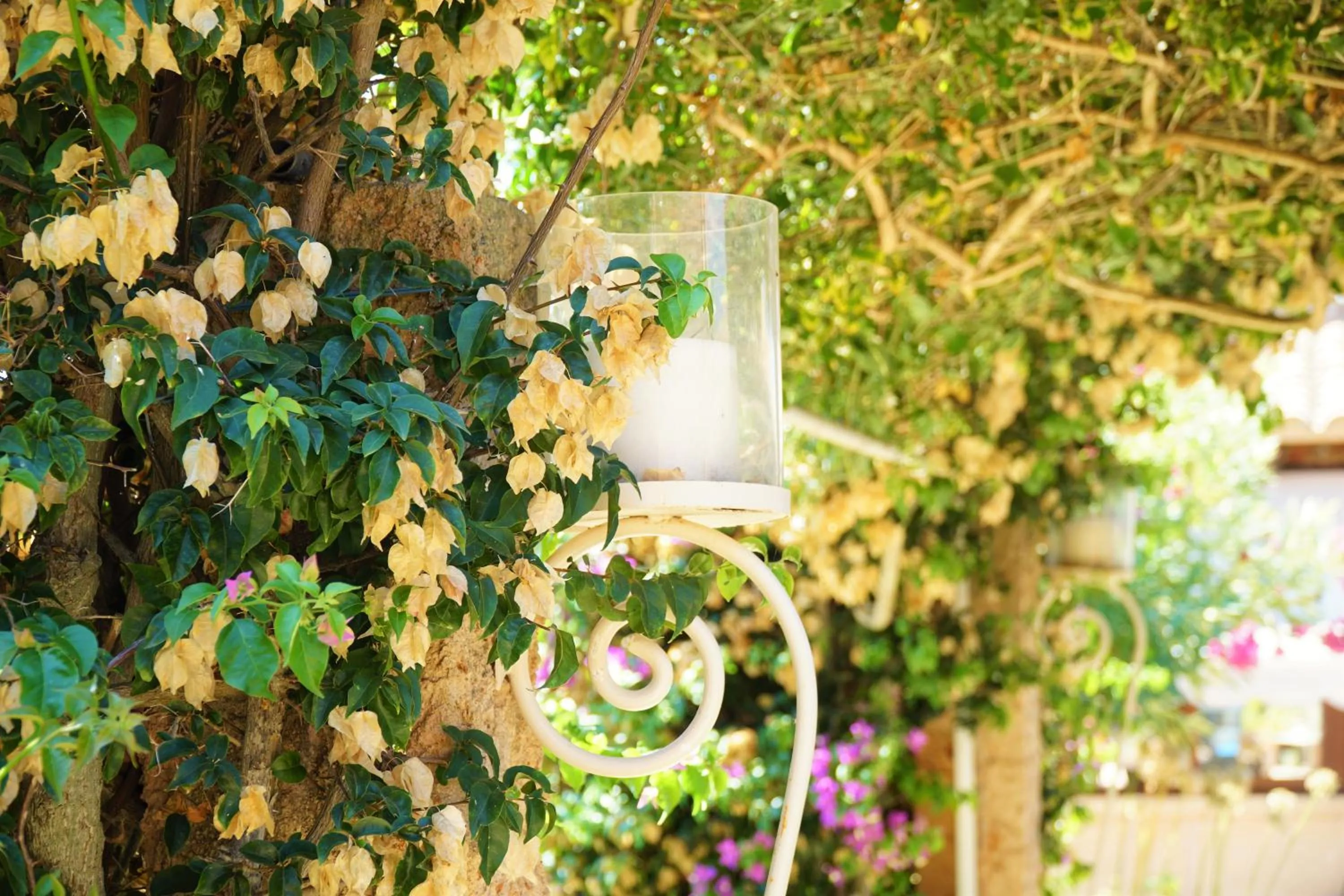 Agroturismo Finca Sa Tanca