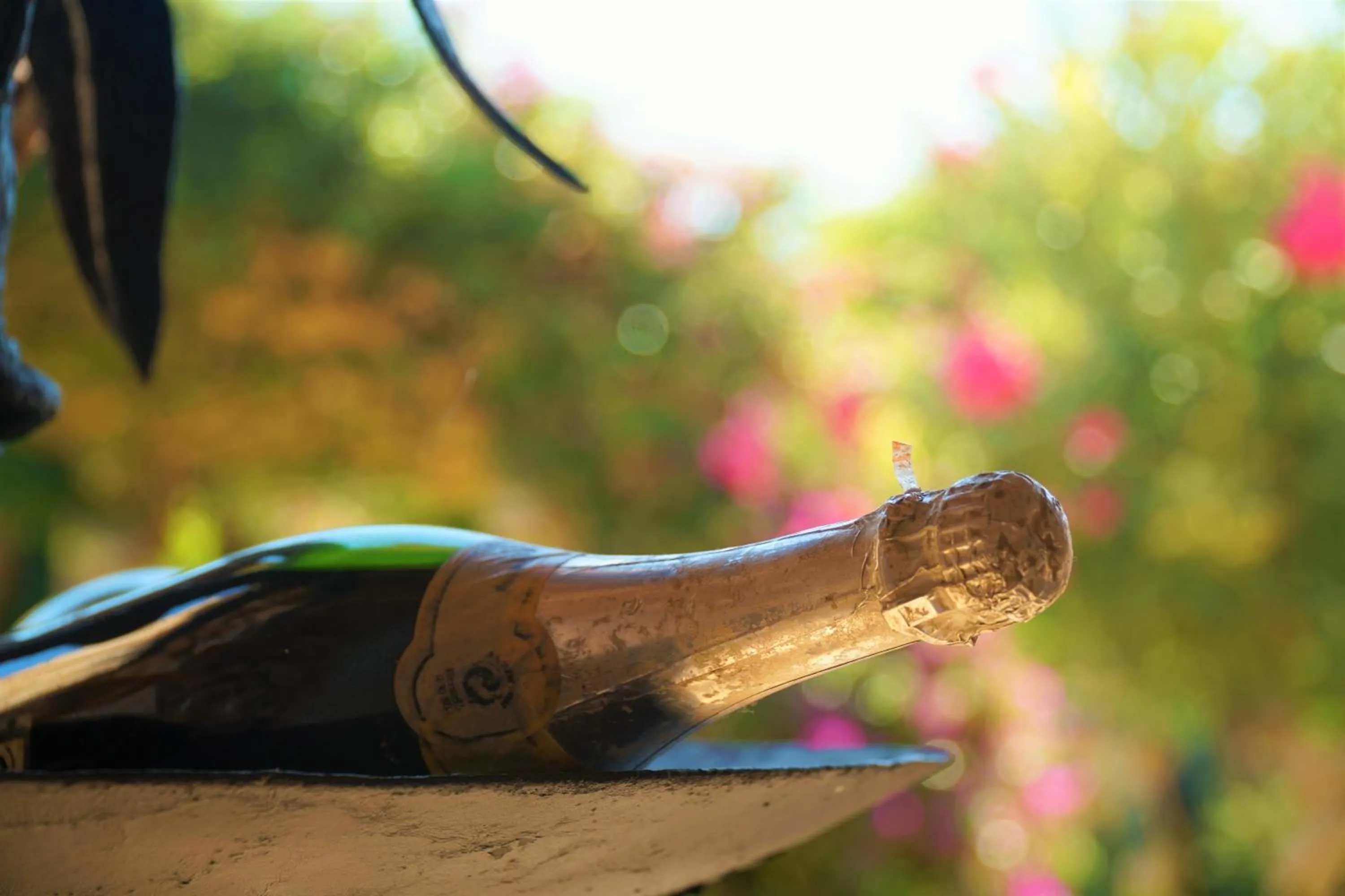 Agroturismo Finca Sa Tanca