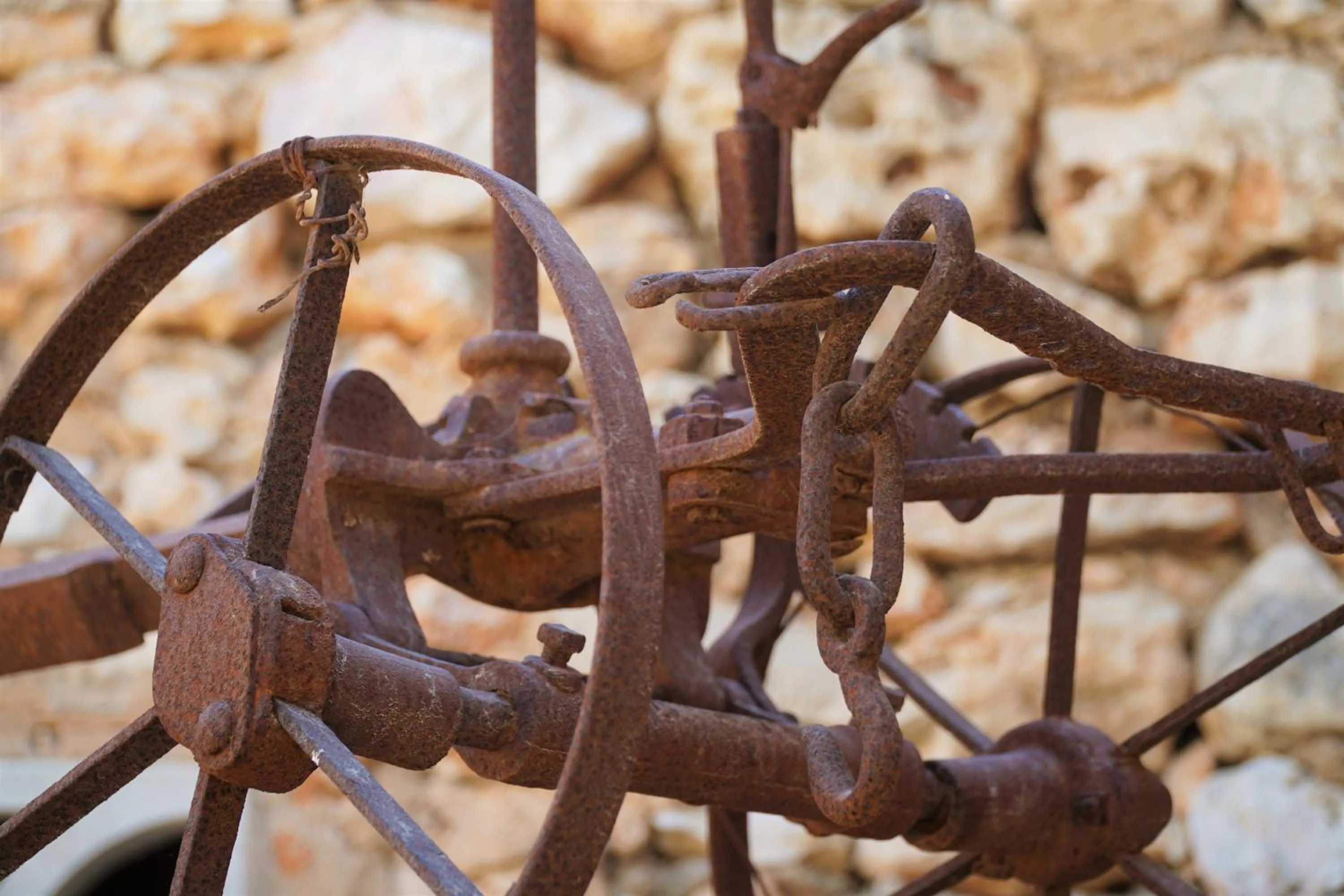 Agroturismo Finca Sa Tanca