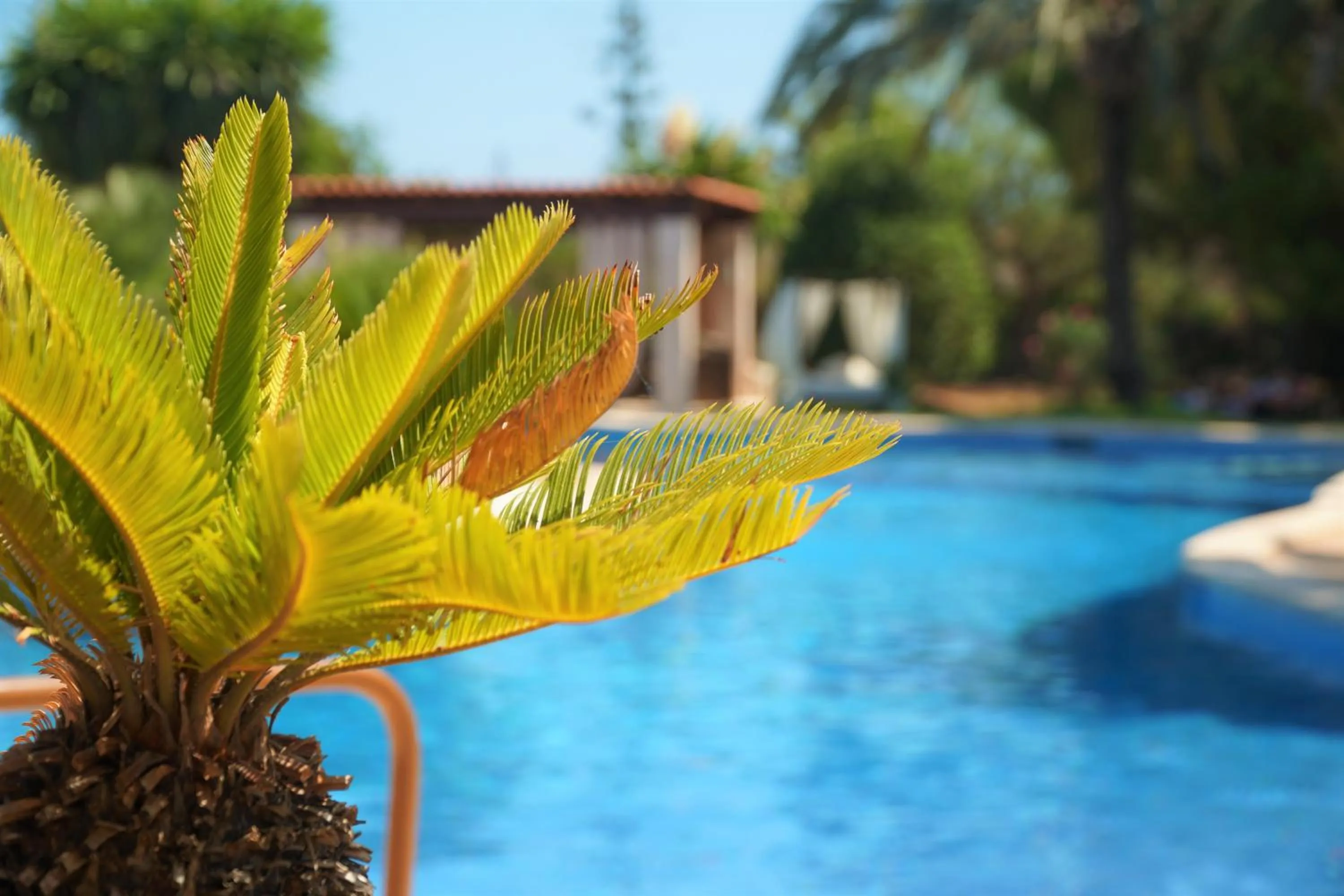 Agroturismo Finca Sa Tanca