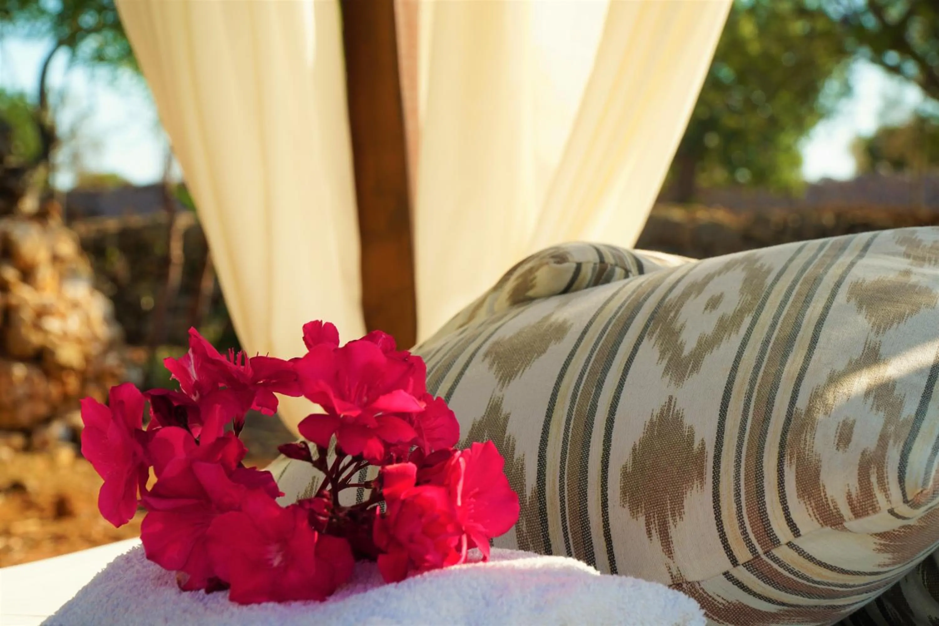 Agroturismo Finca Sa Tanca