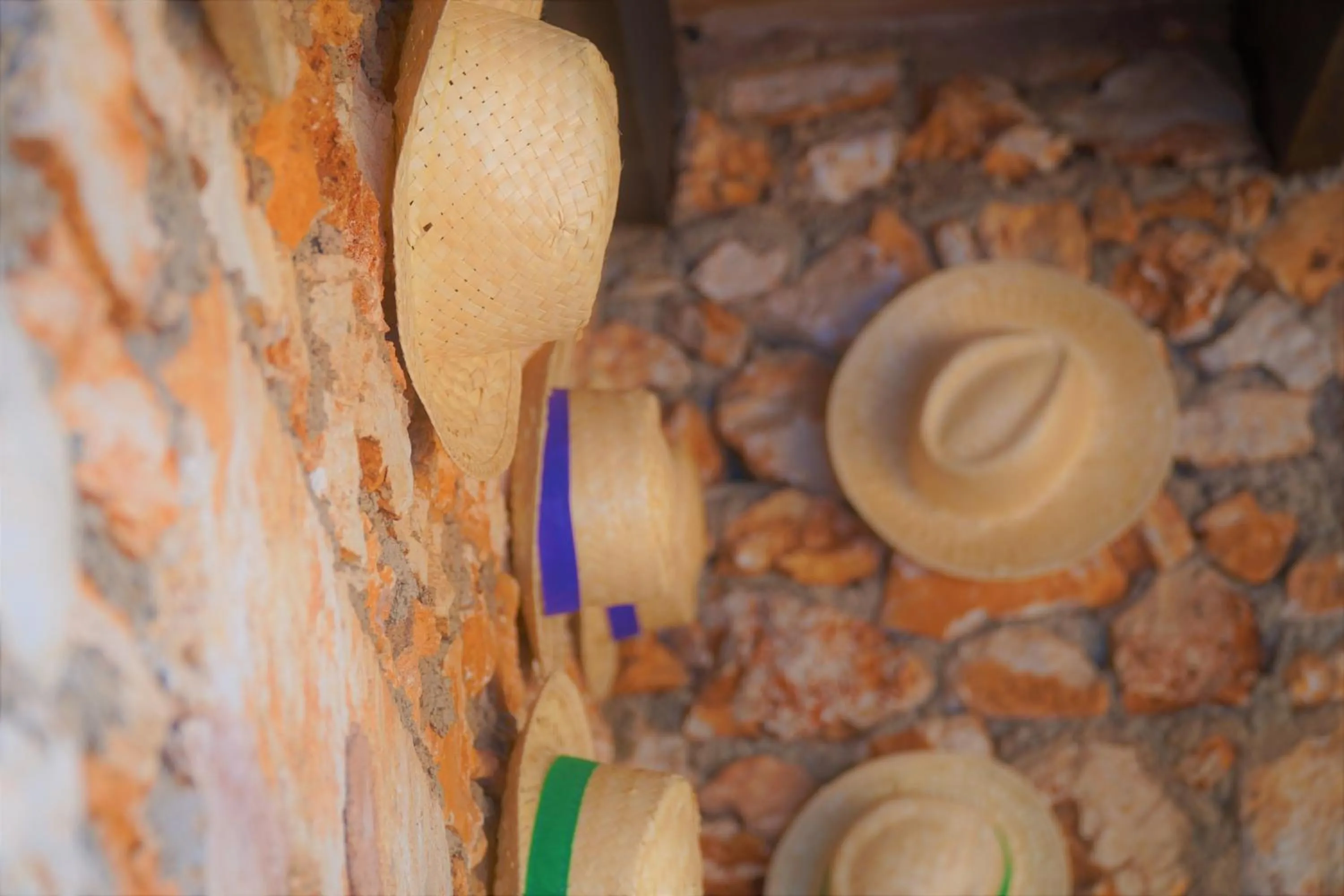 Agroturismo Finca Sa Tanca