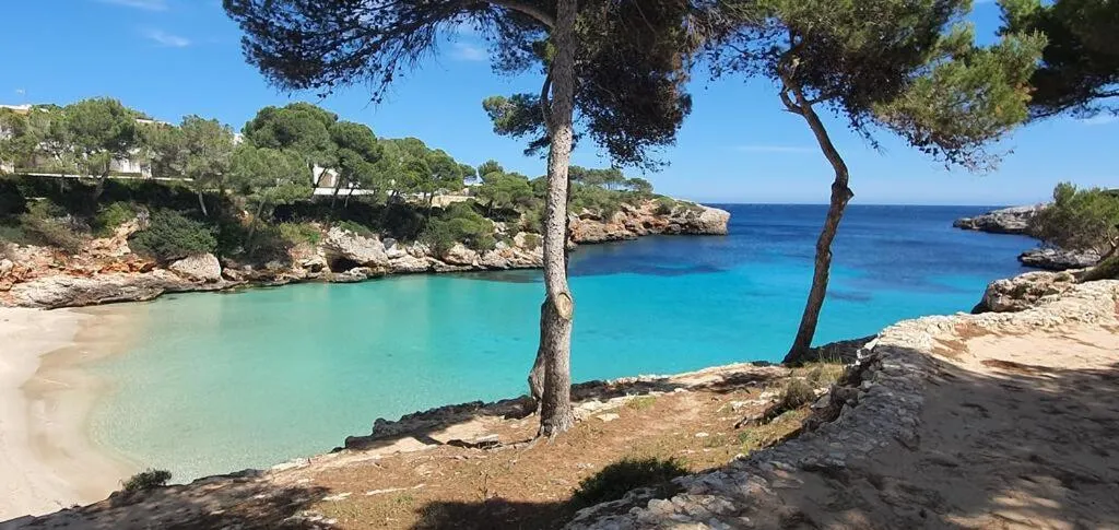 Other in Agroturismo Finca Sa Tanca