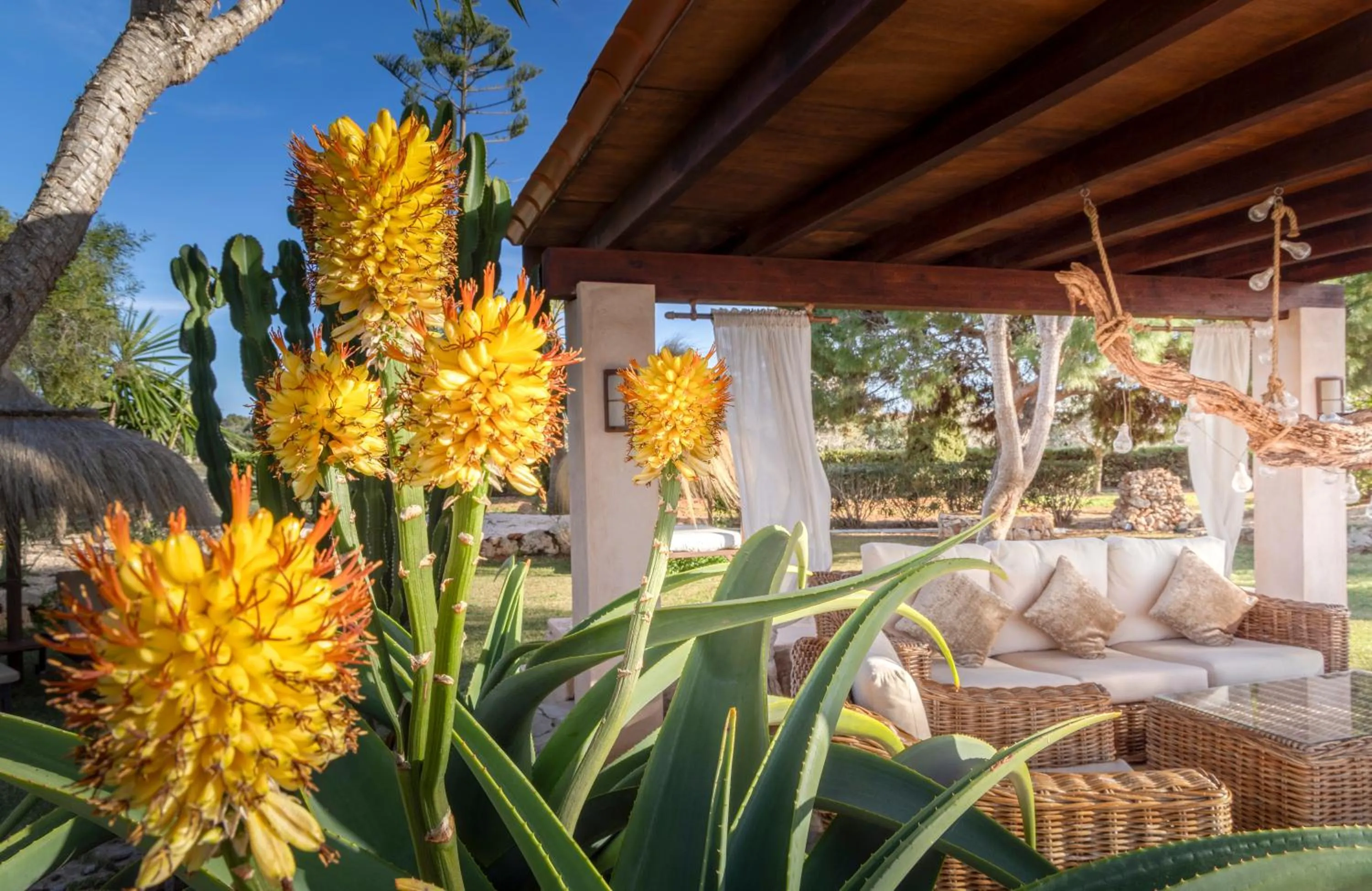 Agroturismo Finca Sa Tanca