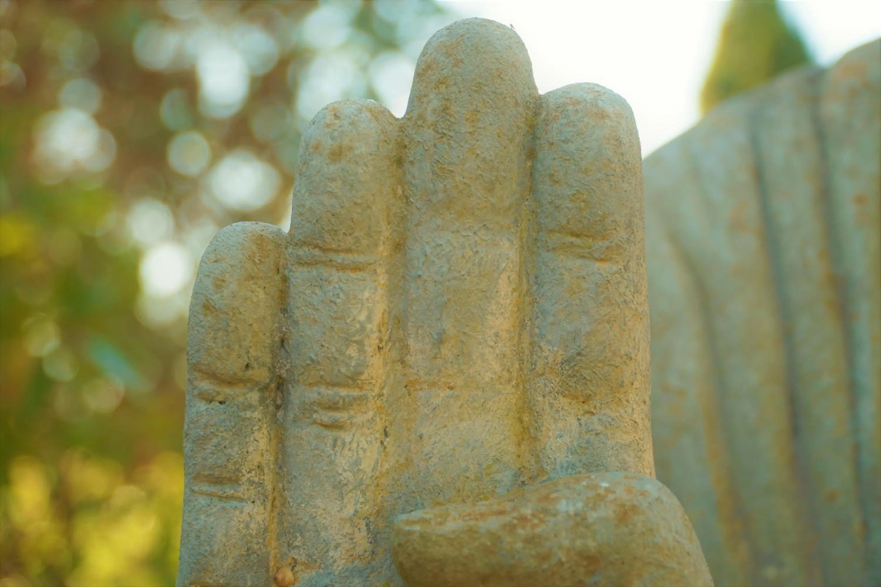 Agroturismo Finca Sa Tanca