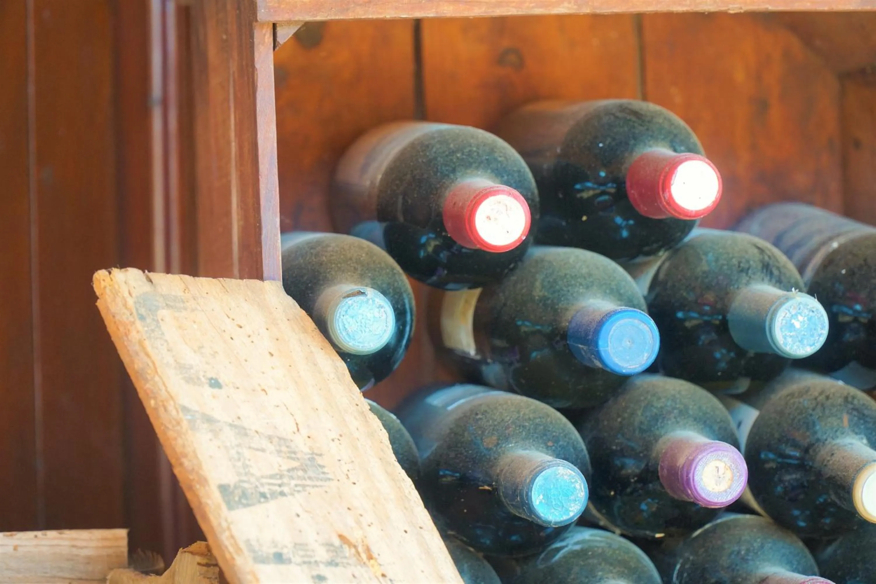 Agroturismo Finca Sa Tanca