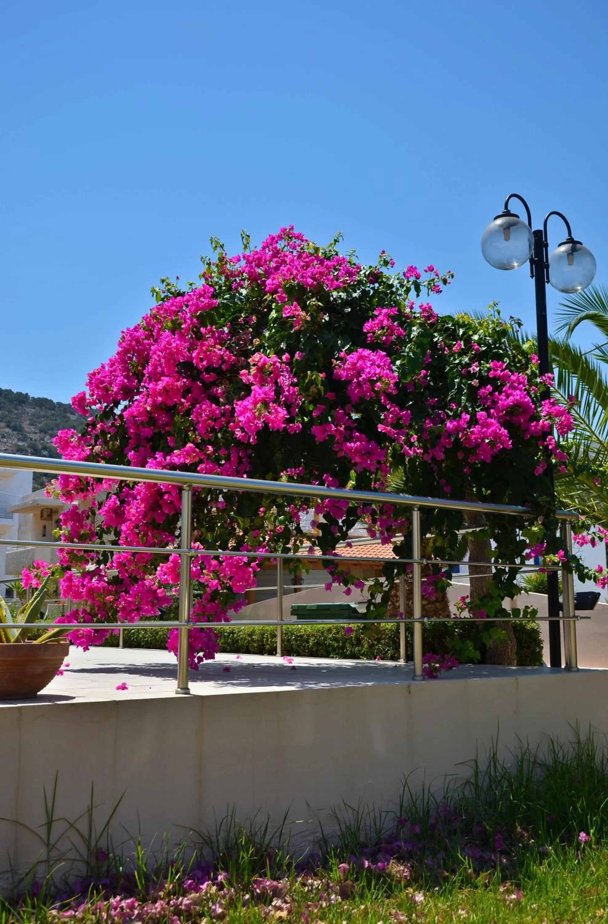 Garden view in Niko Elen