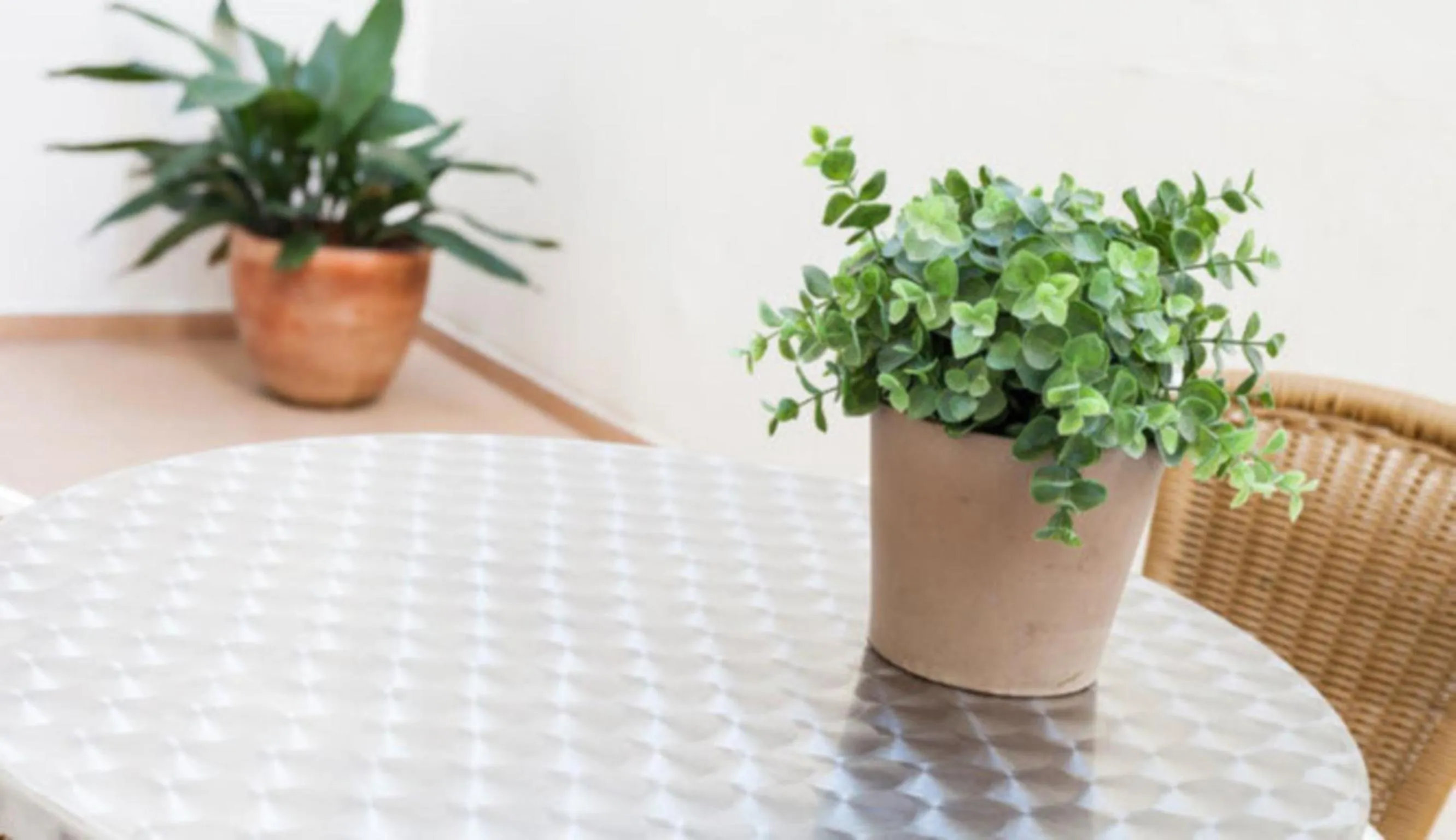 Decorative detail in BcnStop Parc Güell