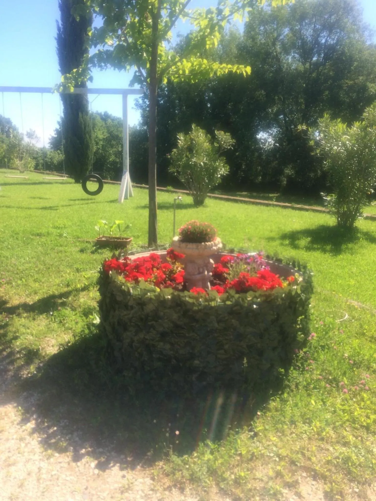 Garden in Oasi Del Verde
