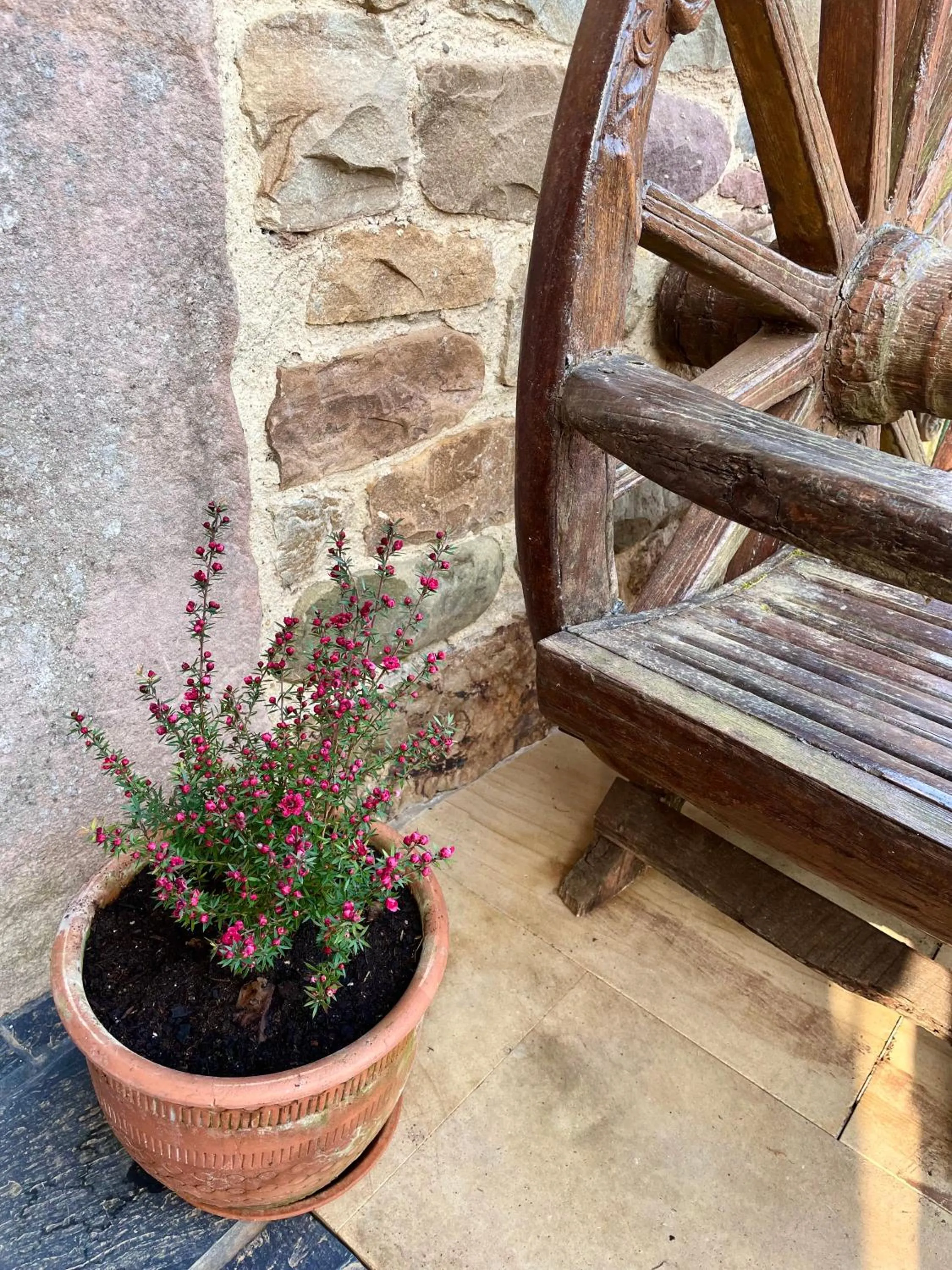 Balcony/Terrace in Hotel Casona de la Torre
