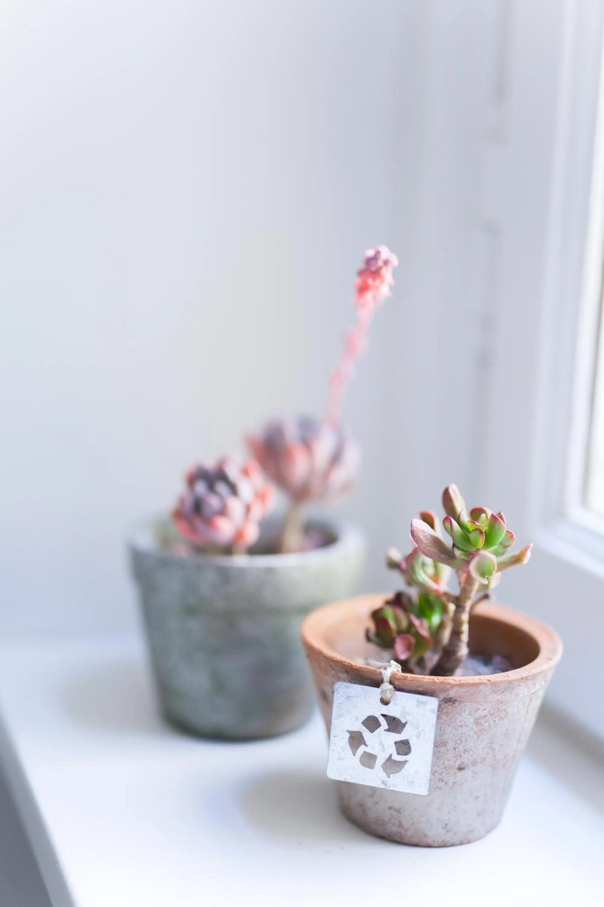 Decorative detail in Alessia's Place