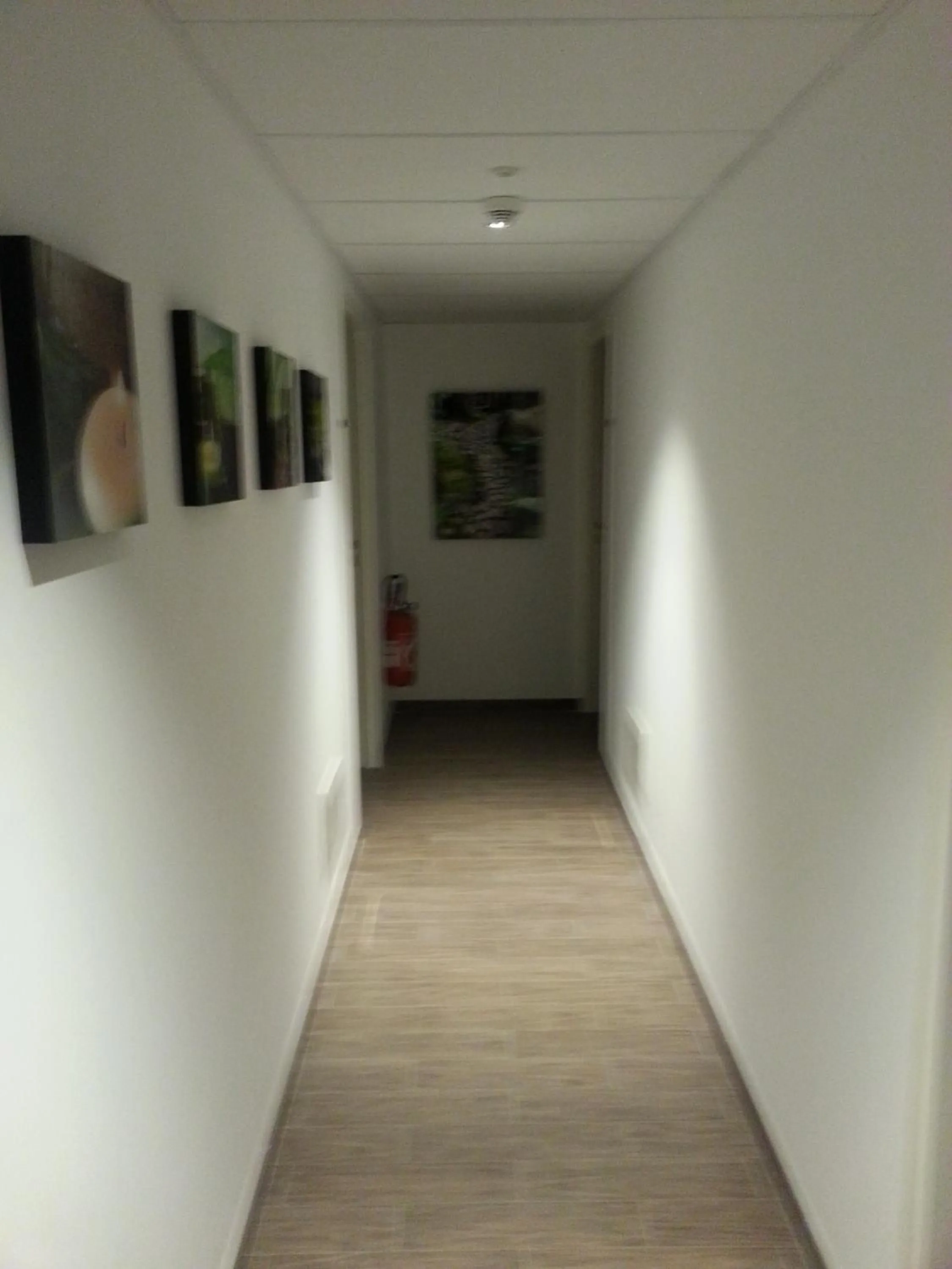 Decorative detail in Hotel Arago