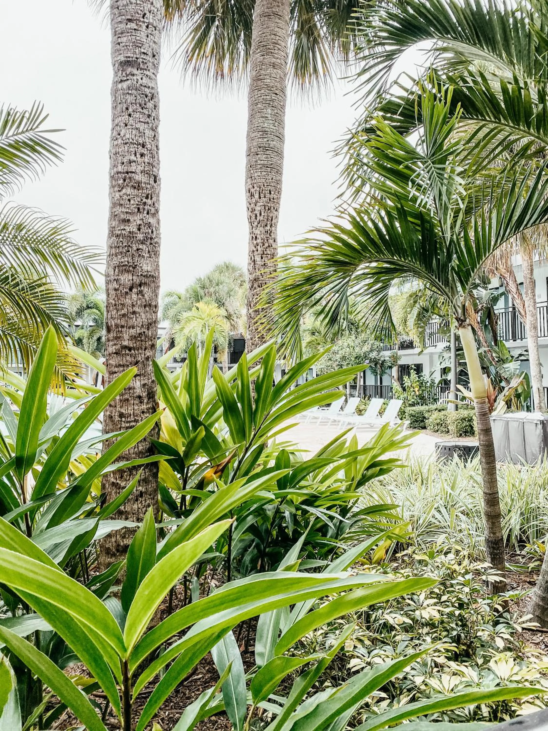 Garden in Coco Key Hotel & Water Park Resort