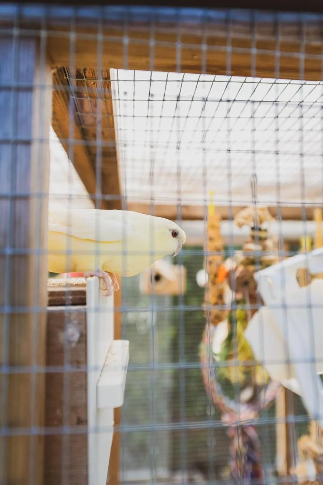 View (from property/room) in The Stag Hotel, Restaurant and Bar