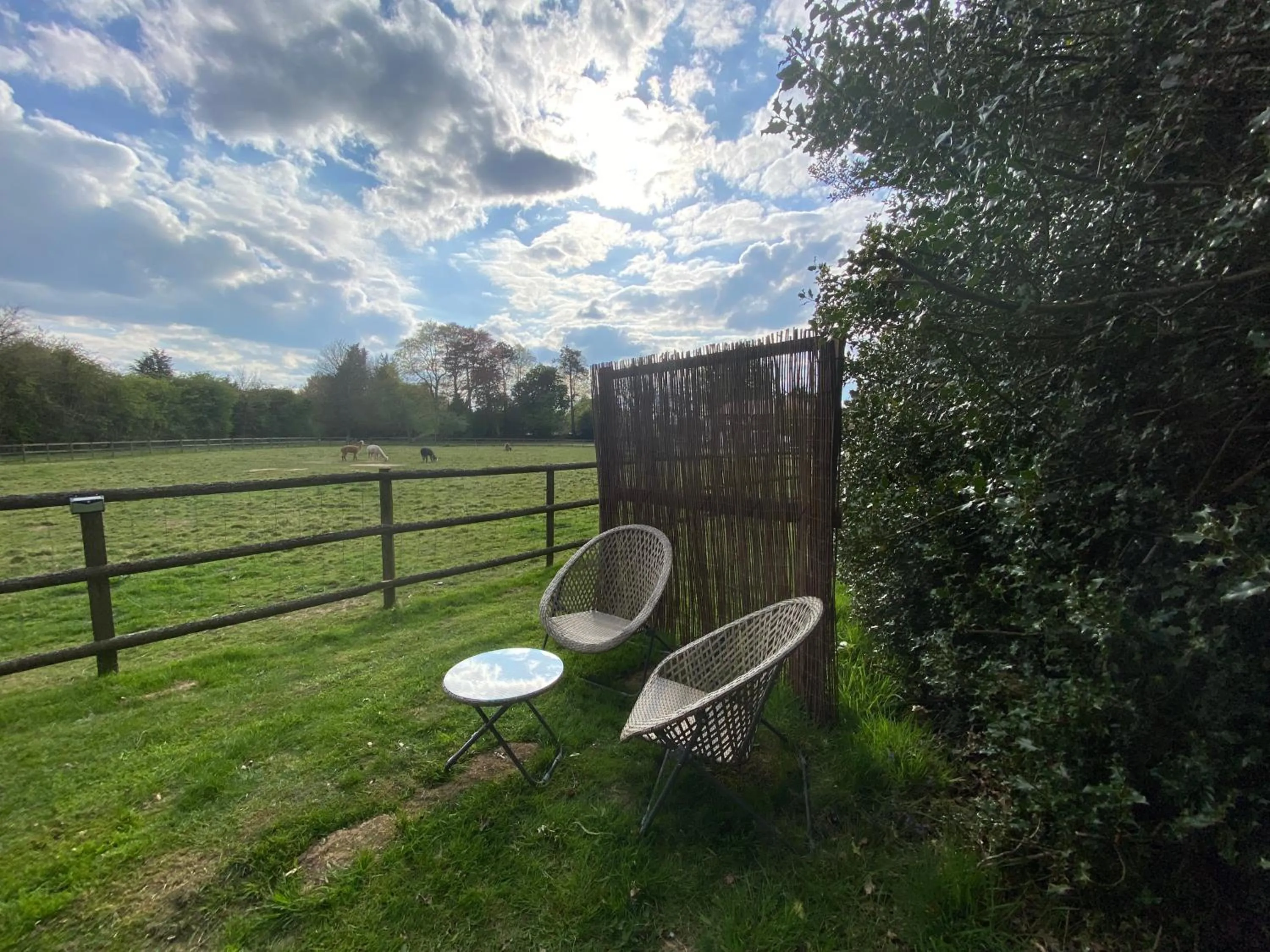 Garden view in The Secret Cottage & Hideaway Caravan