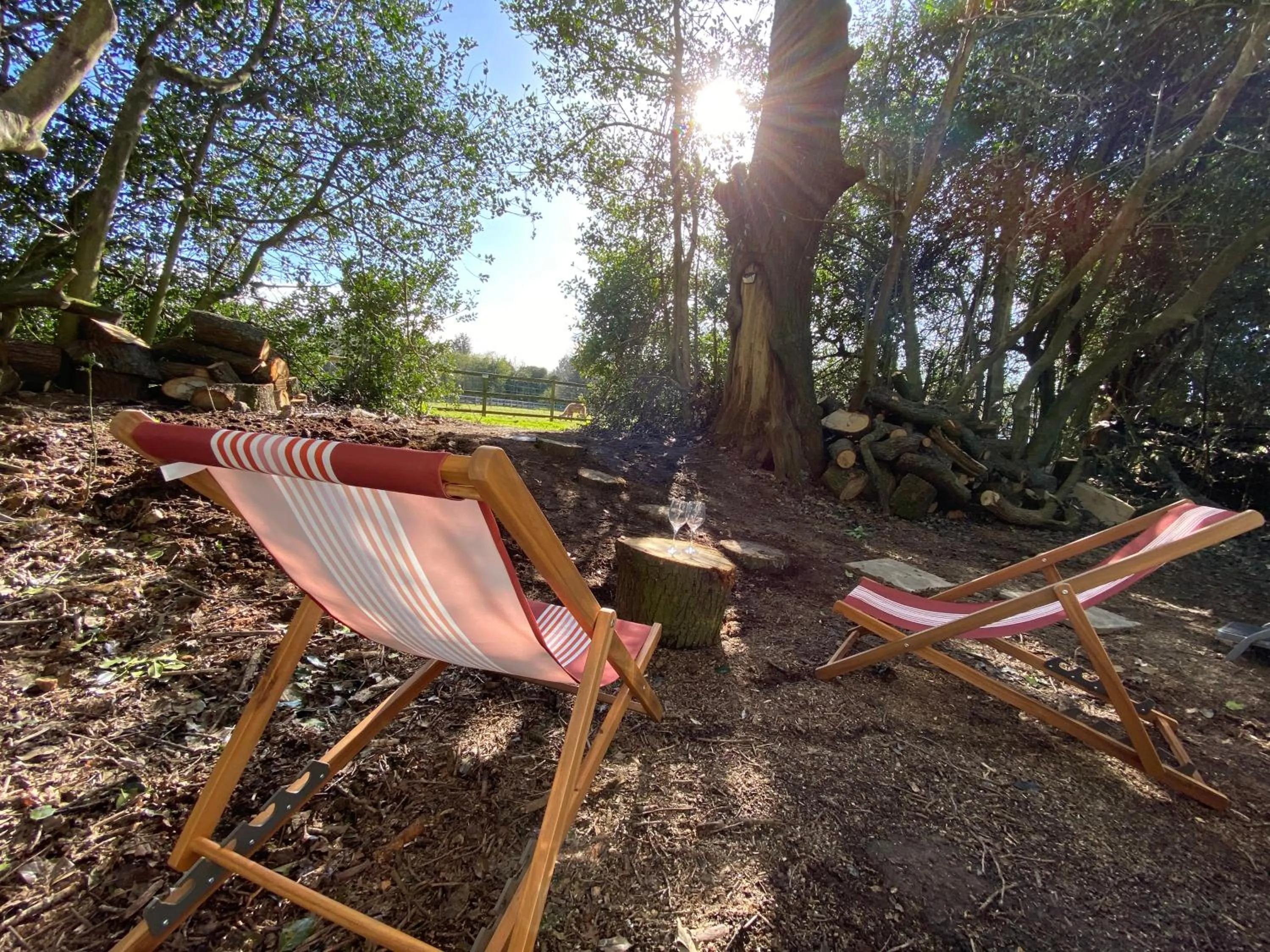Natural landscape in The Secret Cottage & Hideaway Caravan