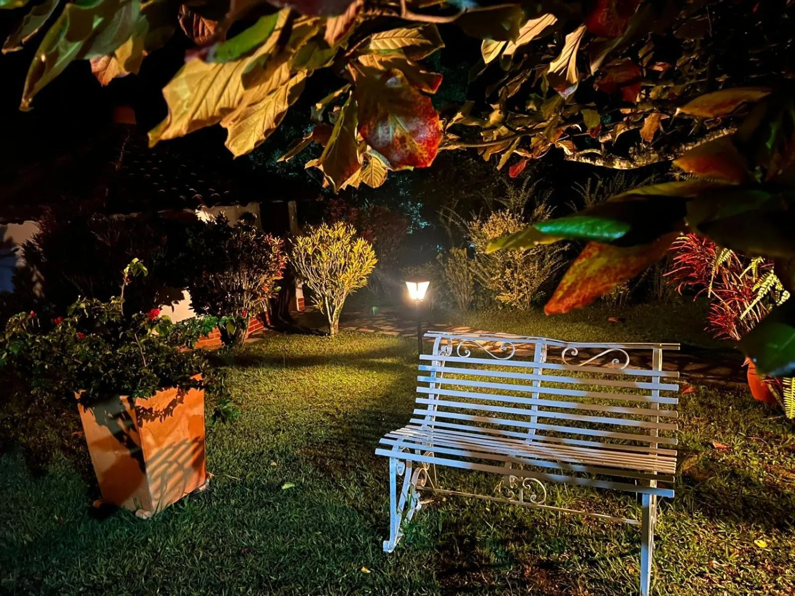 Natural landscape in Hotel Campestre la Loma curiti