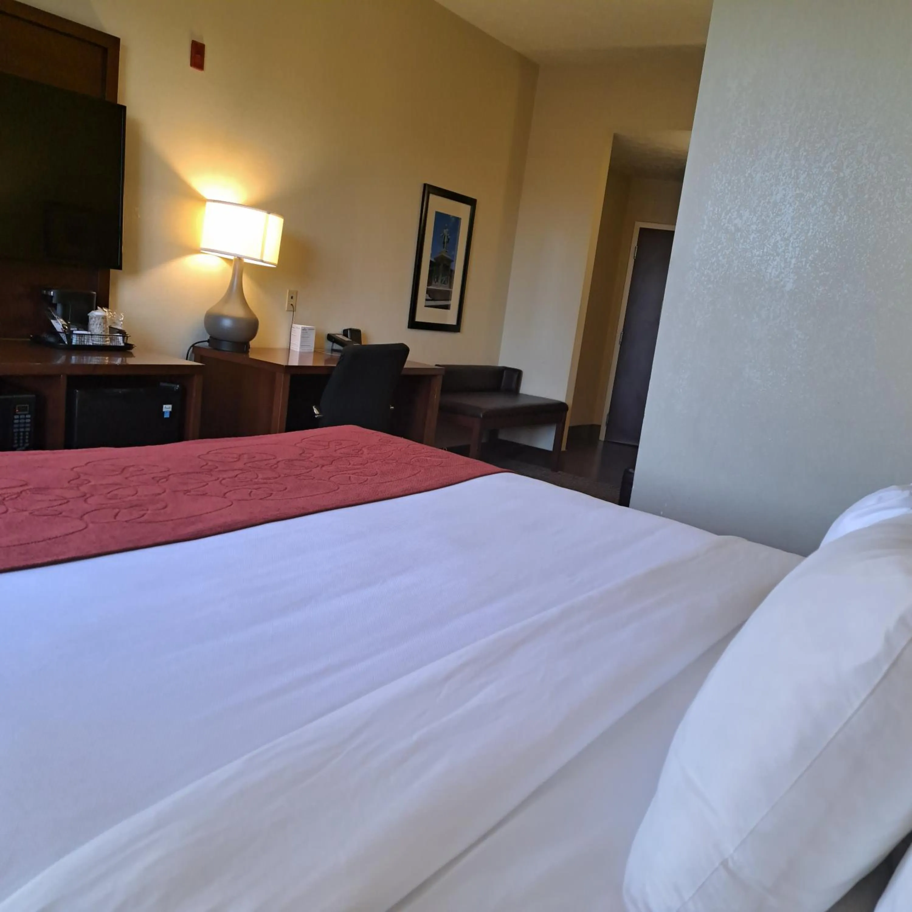 Bedroom in Comfort Suites Nashville near Percy Priest Lake