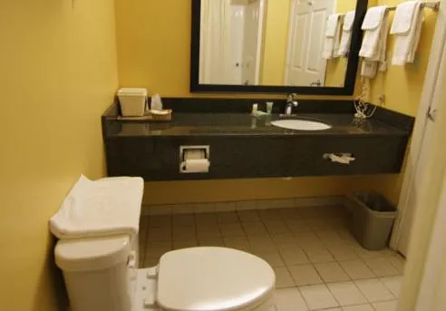 Magnolia Inn and Suites Southaven