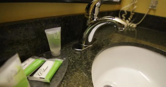 Magnolia Inn and Suites Southaven