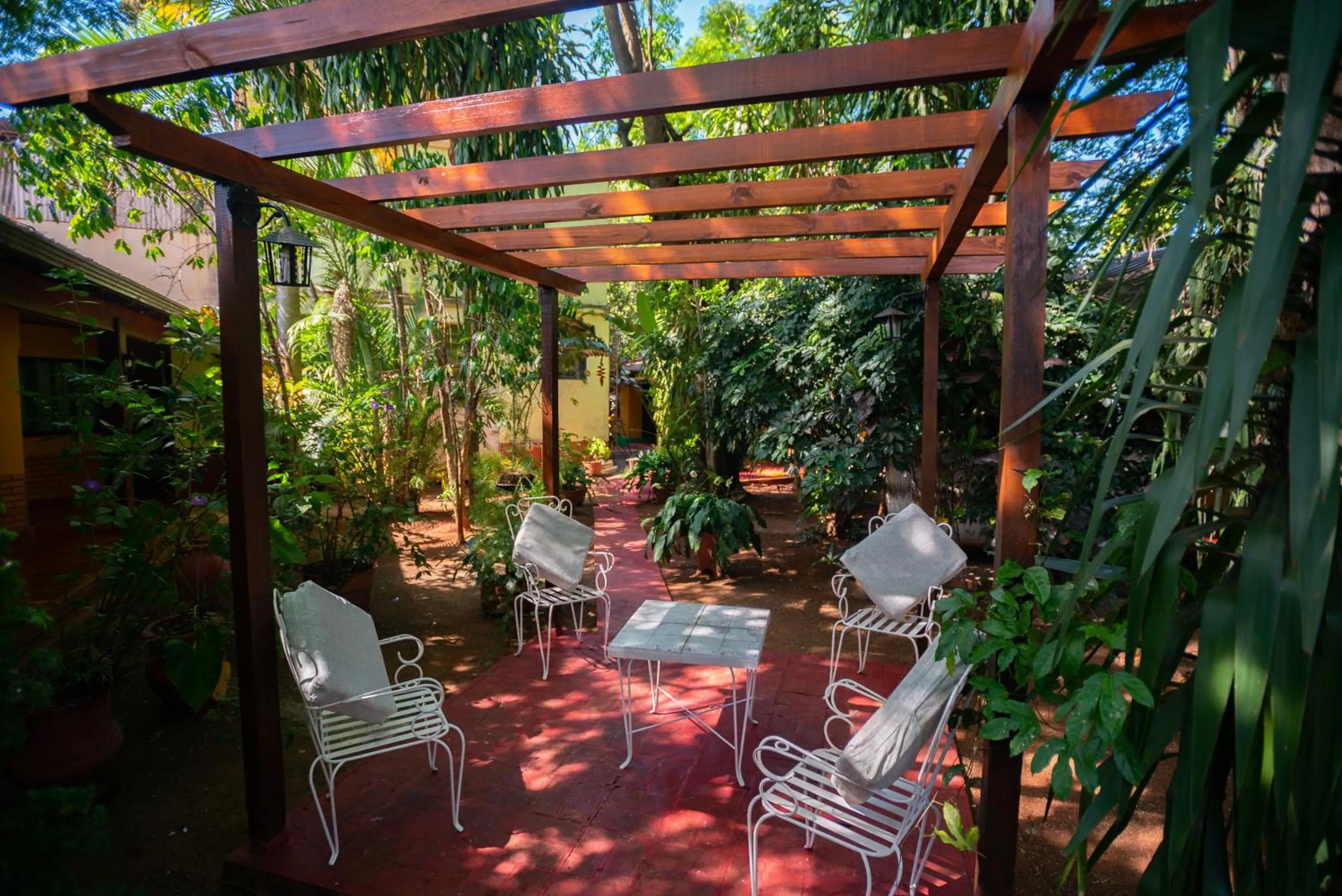 Garden view in Hosteria Los Helechos