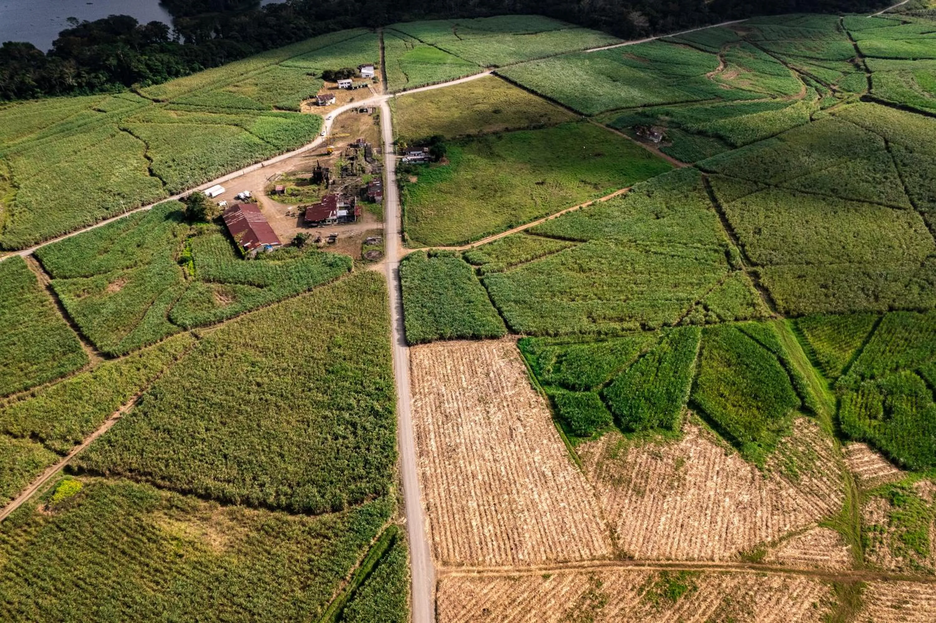 Day in Hotel Villa Florencia